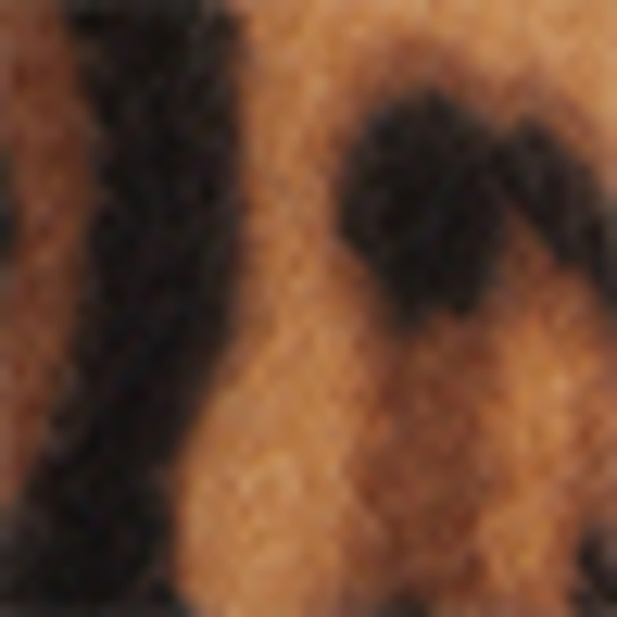Scarf - leopard print black / beige (3)