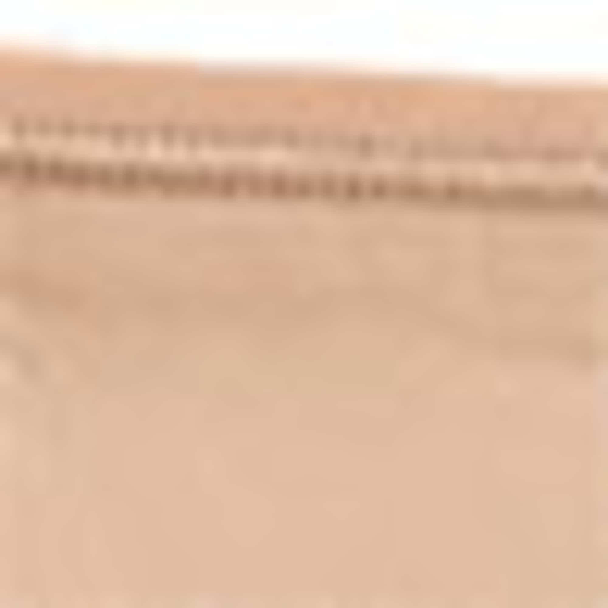 Multipack of 3 - knickers light beige