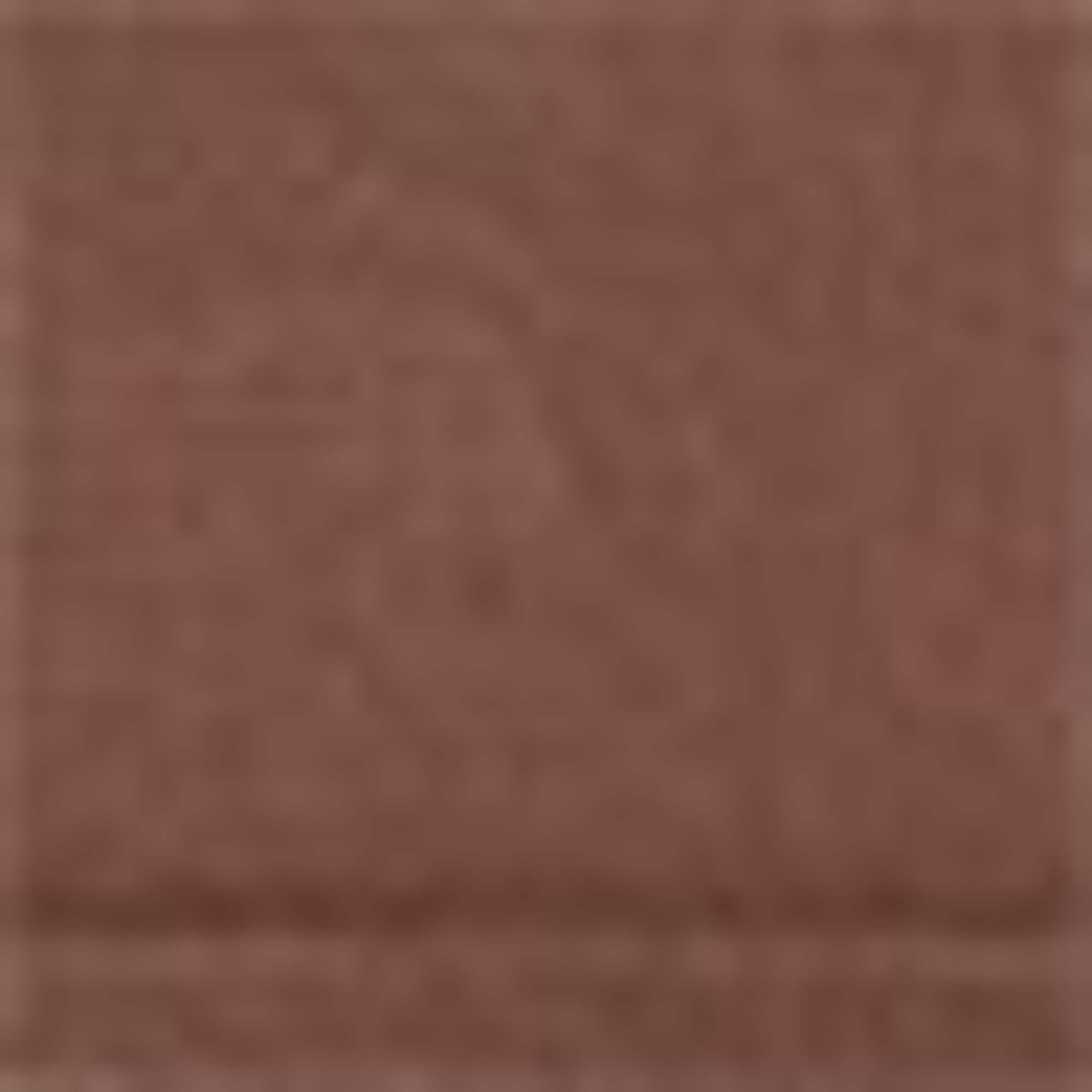 Multipack of 3 - briefs - seamless brown