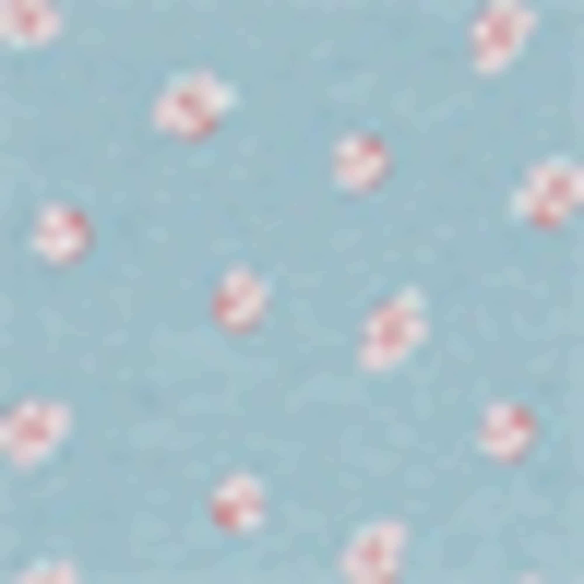 Multipack of 3 - hipsters rose / blue
