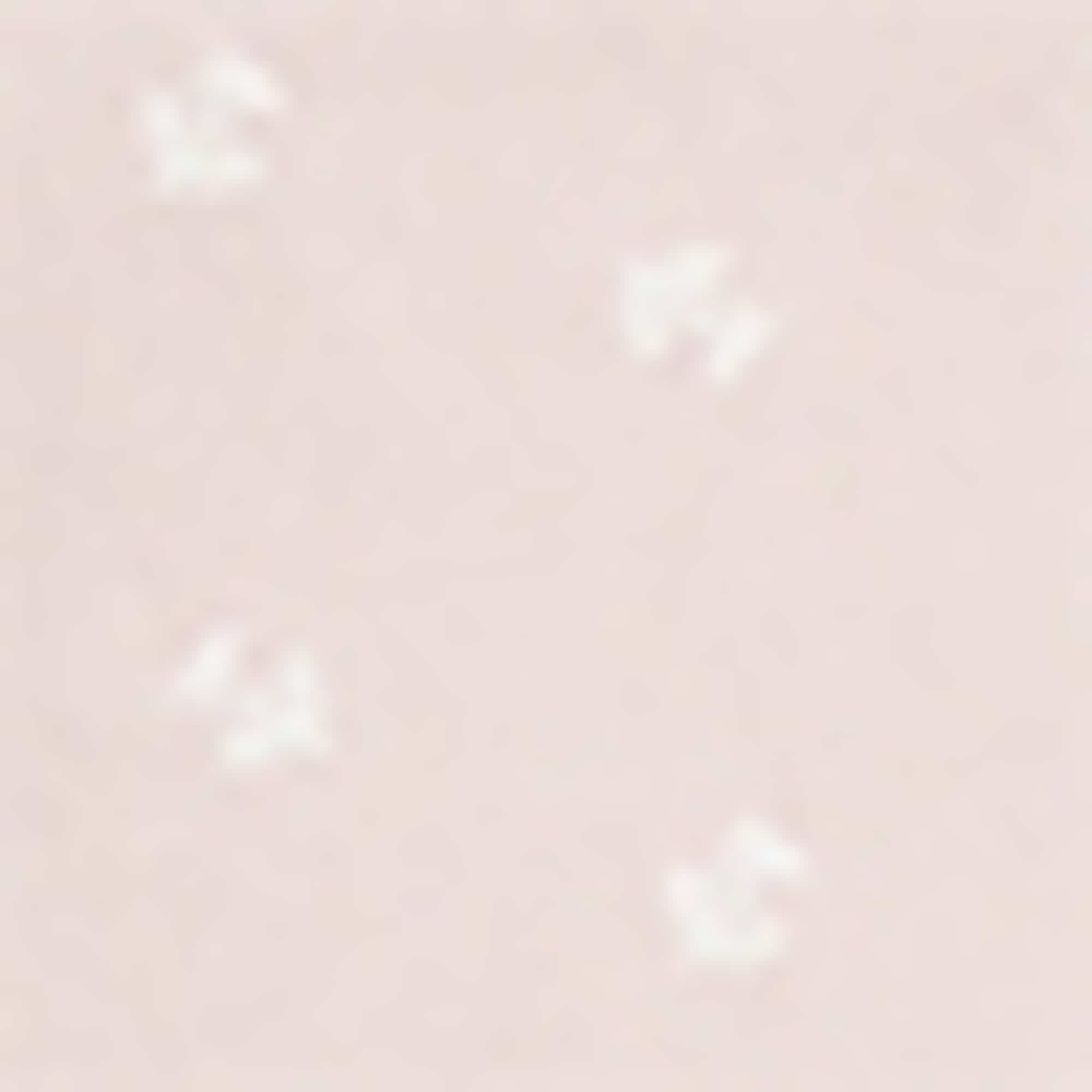 Multipack of 4 - hipsters rose