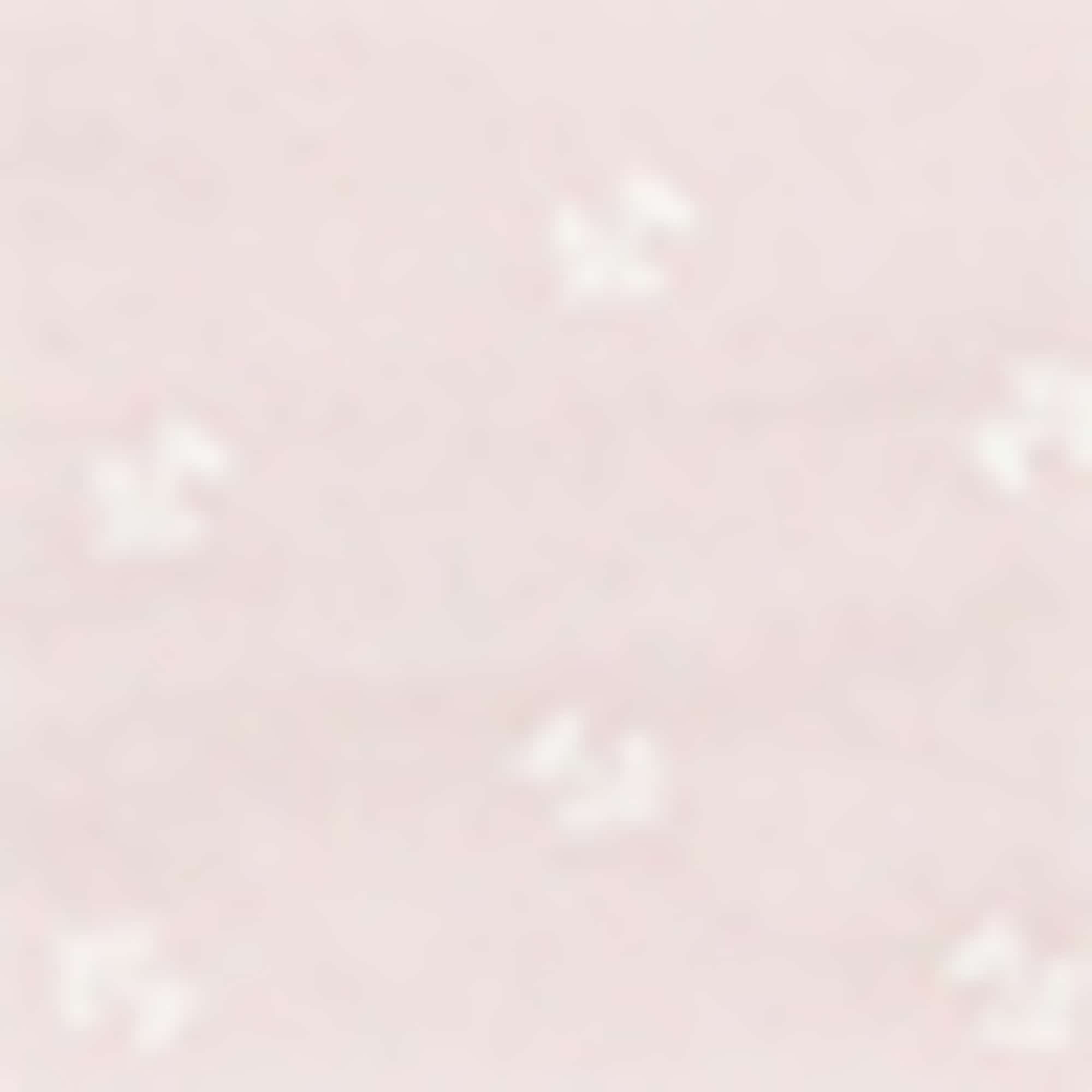 Multipack of 4 - knickers rose
