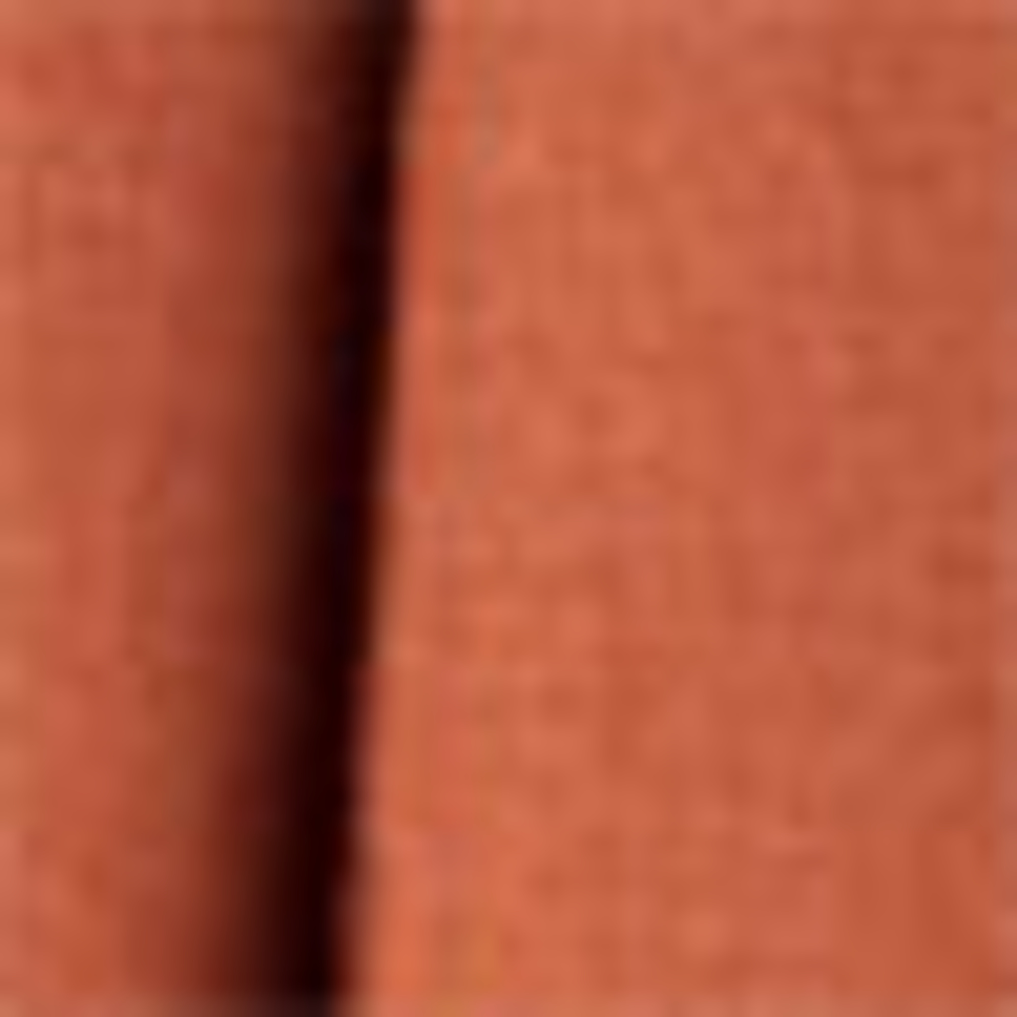 Shorts - mid-rise waist - linen blend terracotta