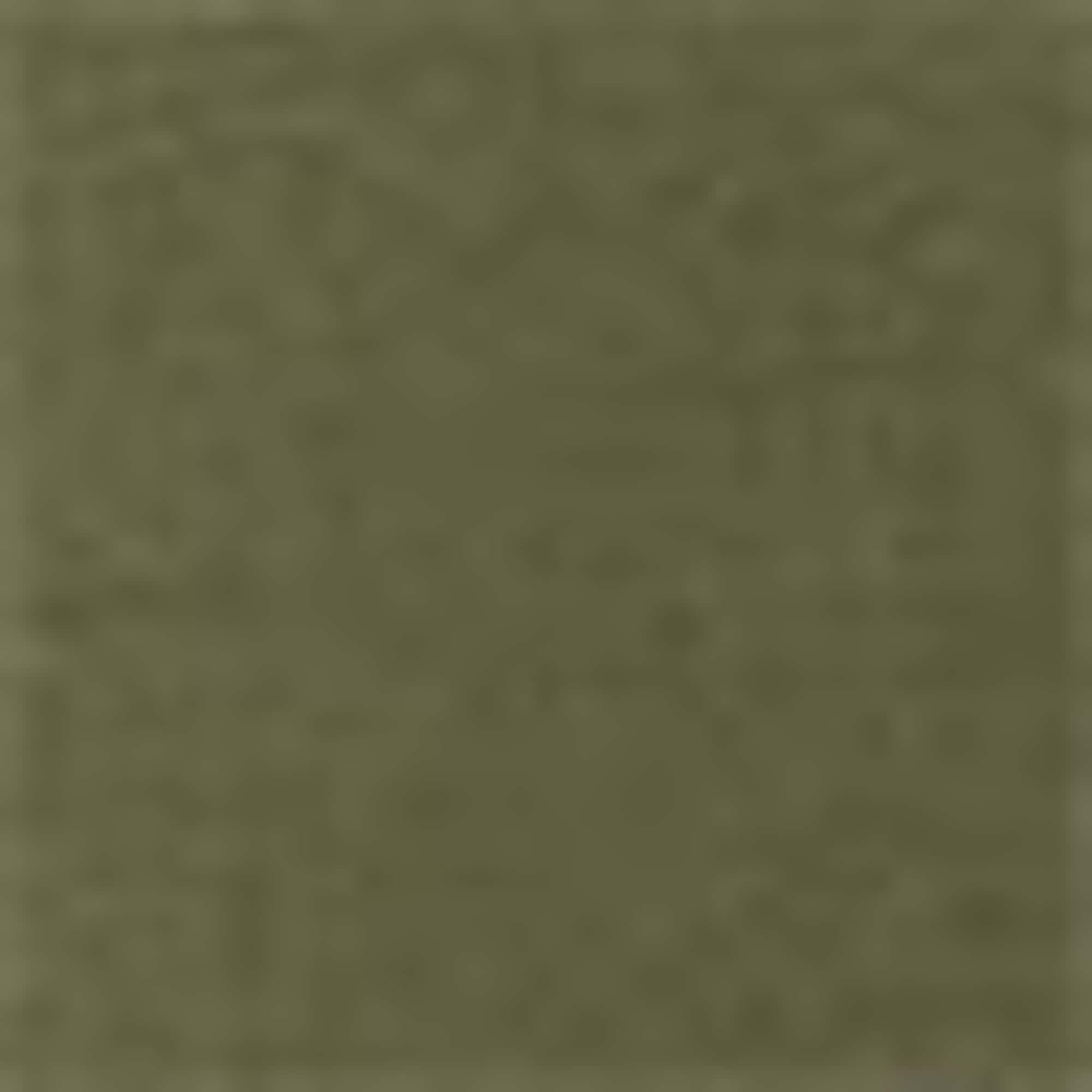 Shirt blouse khaki