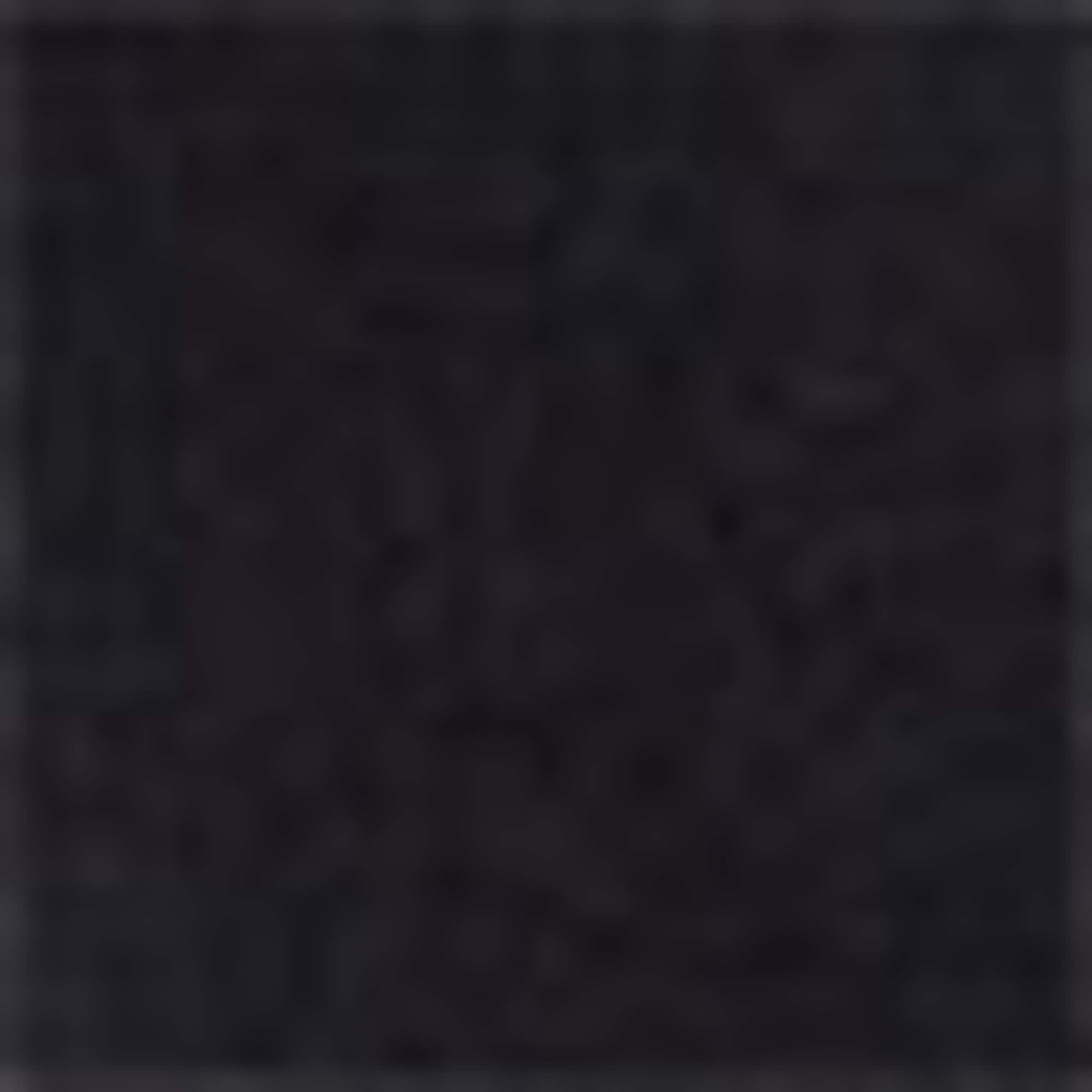 Shorts - LYCRA® black