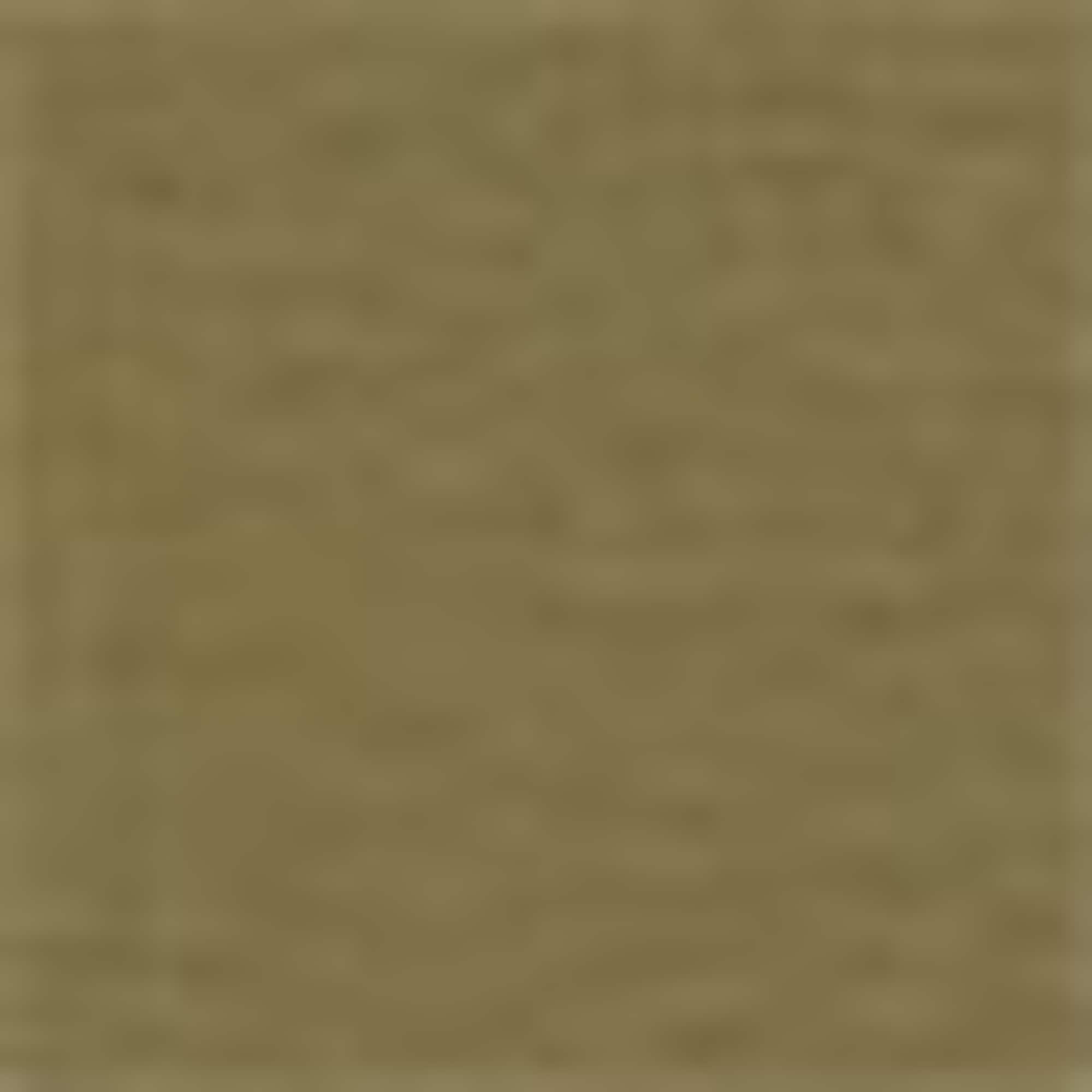 Cloth trousers - high waist - wide leg khaki