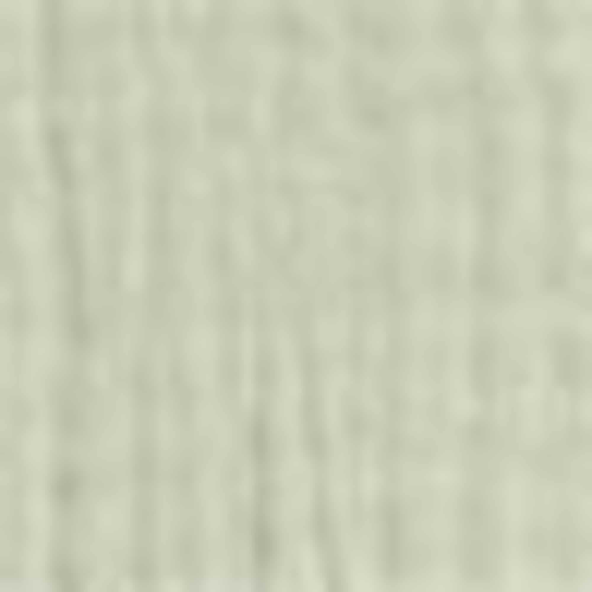 Cheesecloth blouse light green