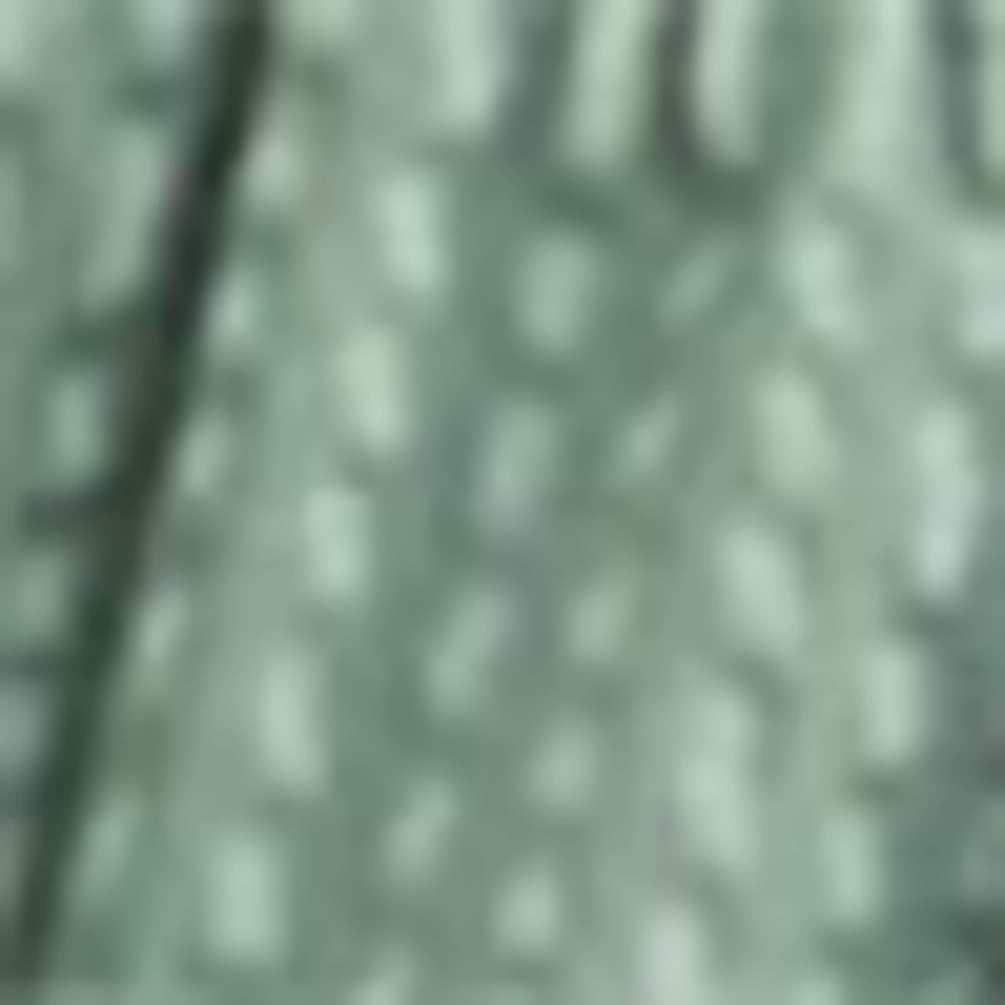 Swim shorts - textured light green