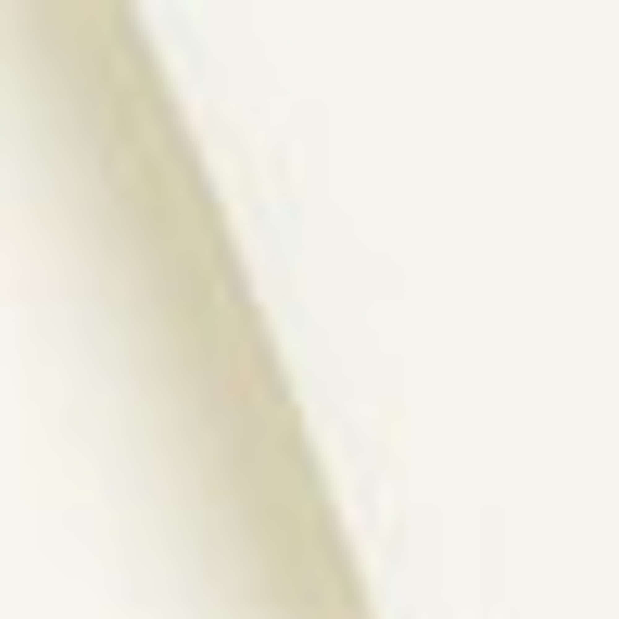 Business blazer - regular fit white