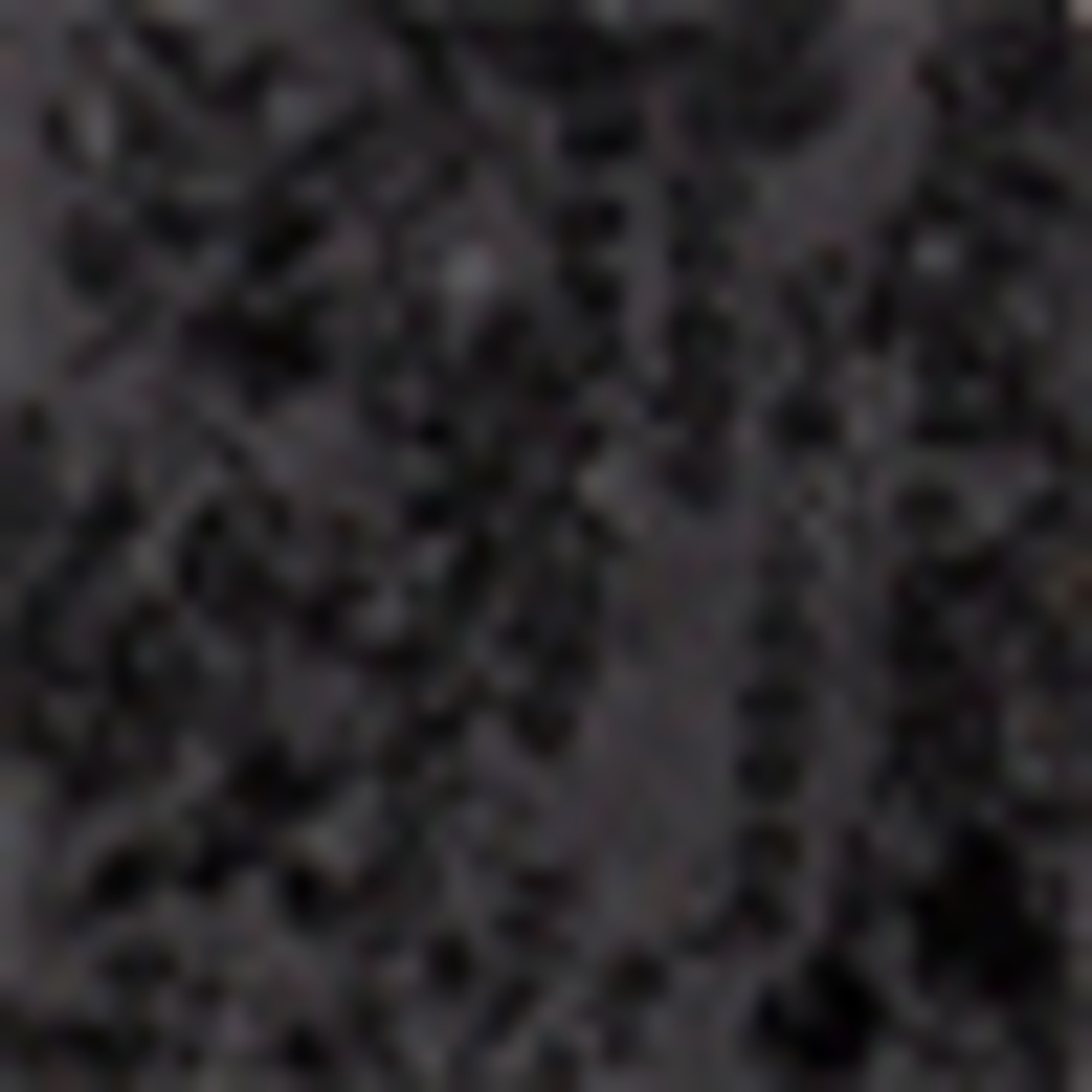 Chiffon sequin blouse black