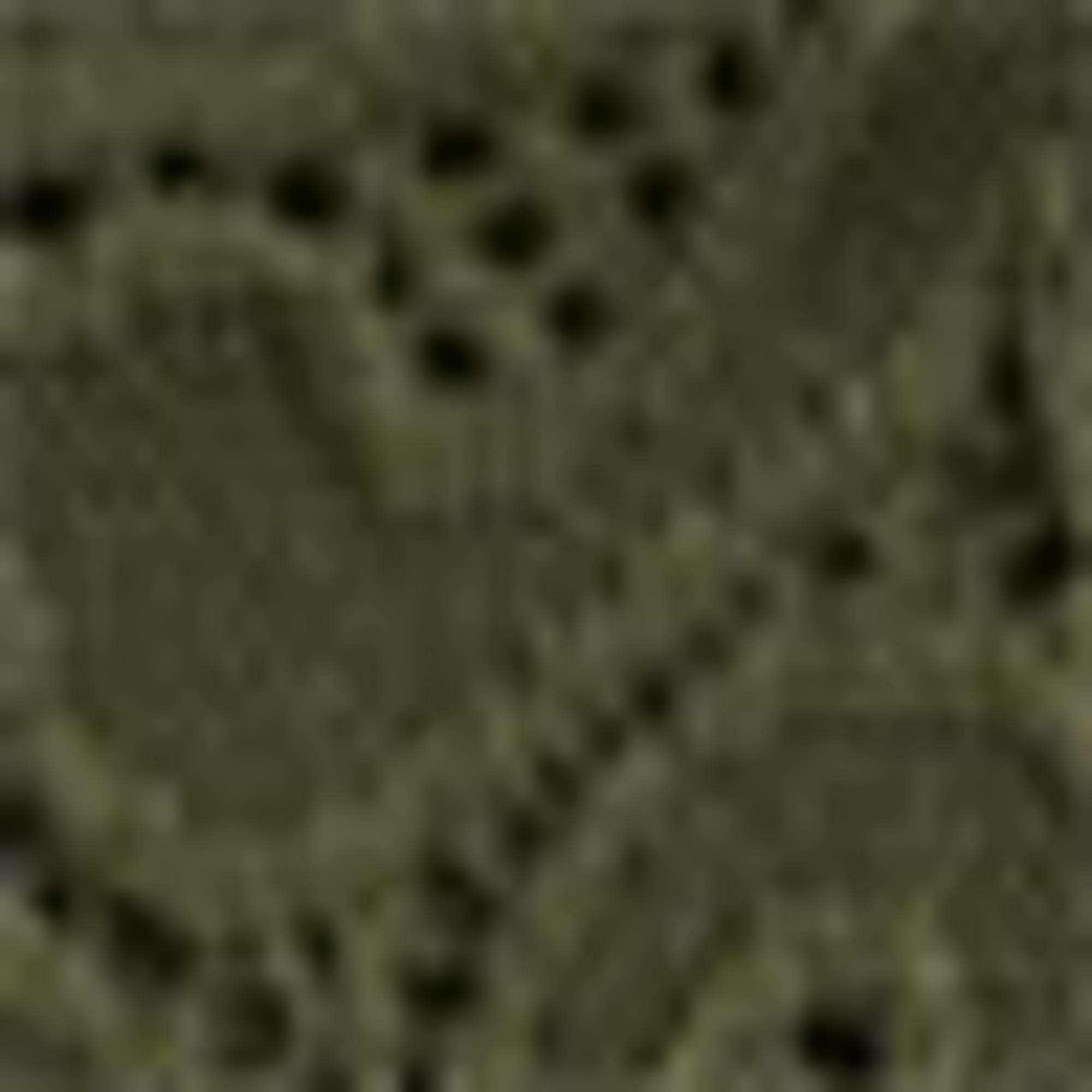 Knickers dark green