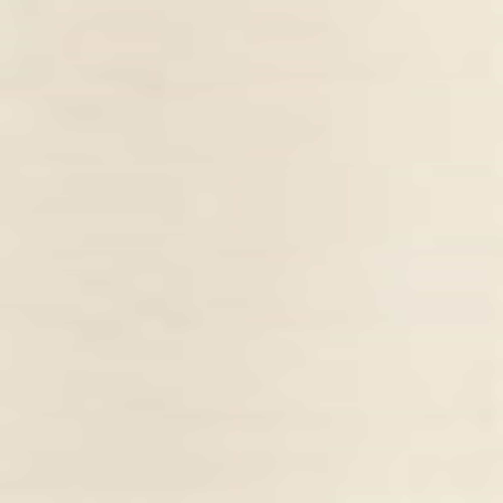 Cloth trousers - mid-rise waist - palazzo white