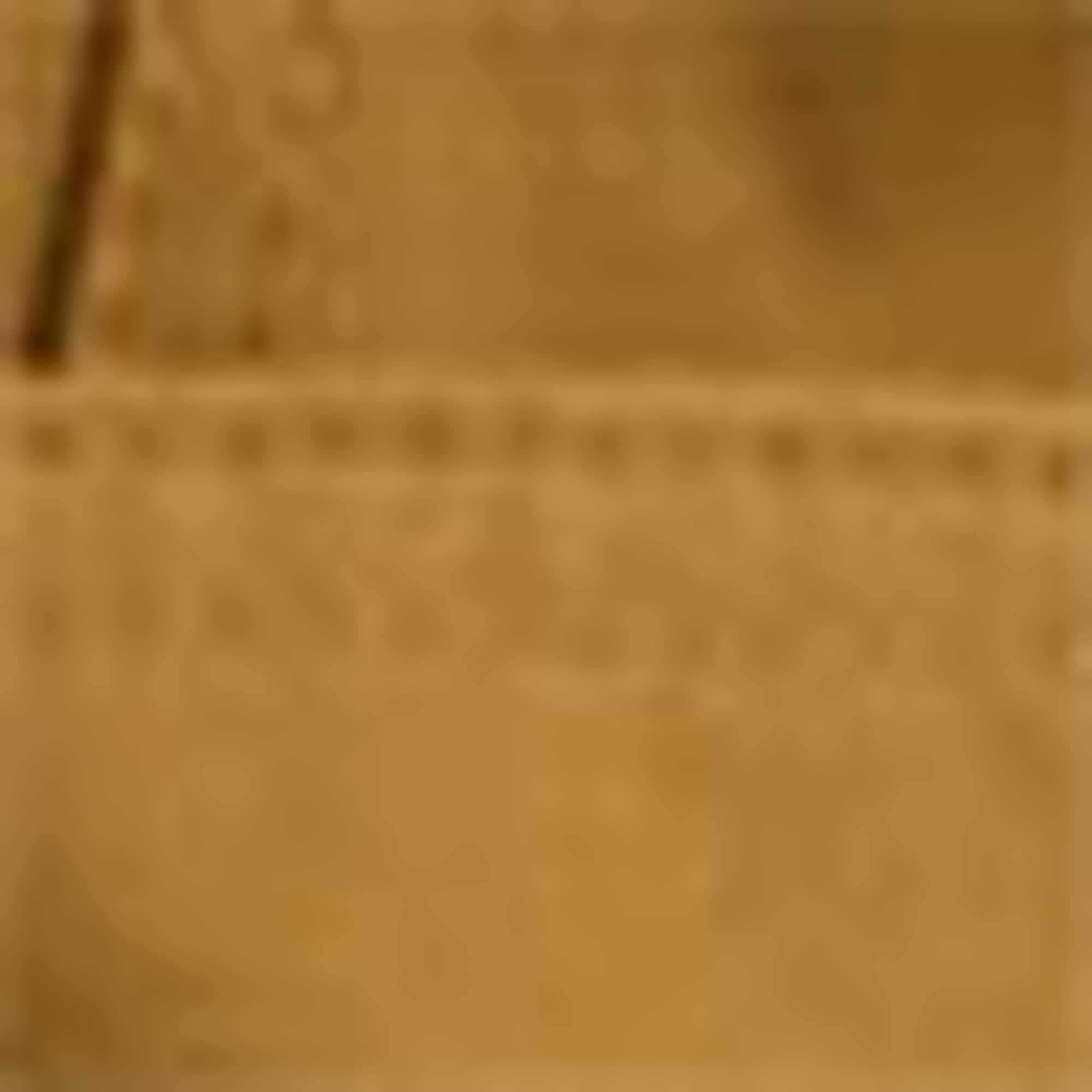 Trench coat - water-repellent Caramel