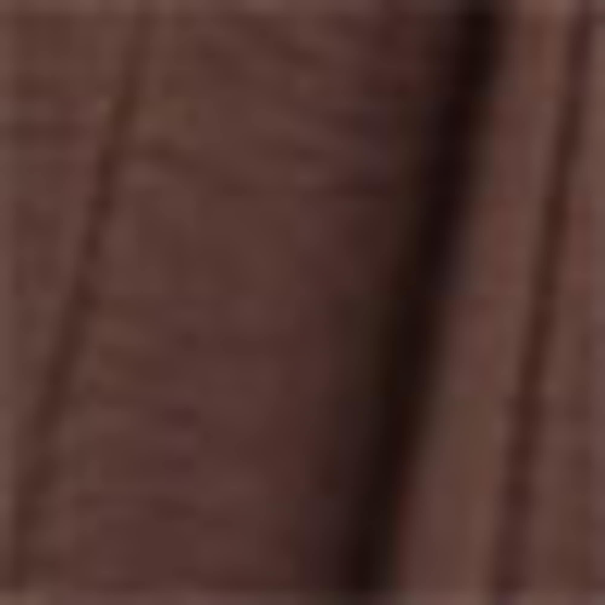Jumpsuit brown