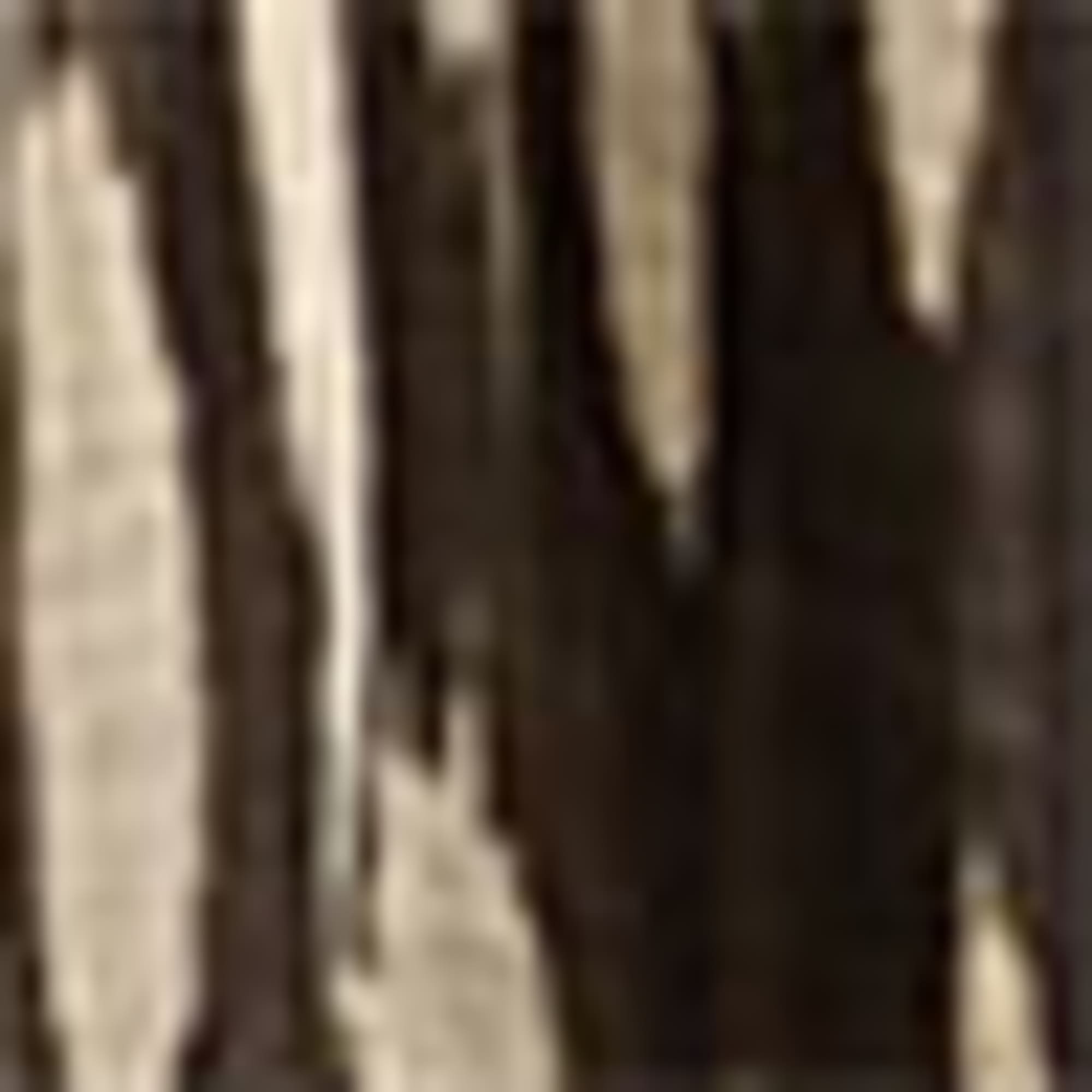 Chiffon tunic - patterned brown / beige