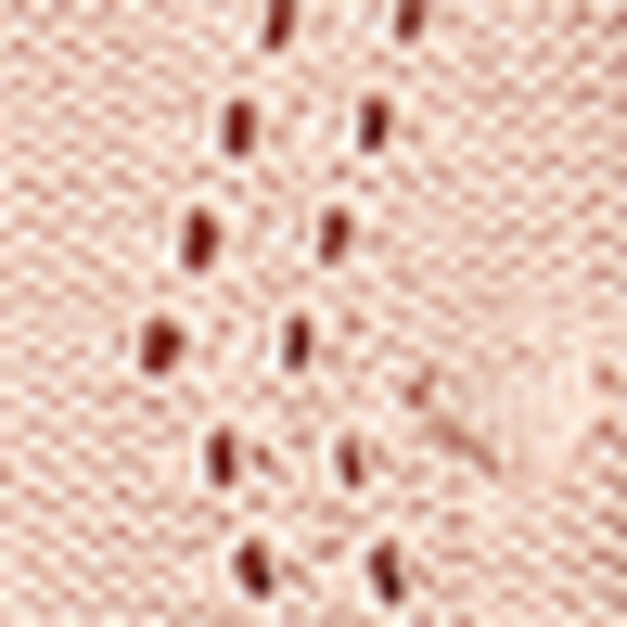 Knitted jumper - short sleeve - cable knit pattern rose