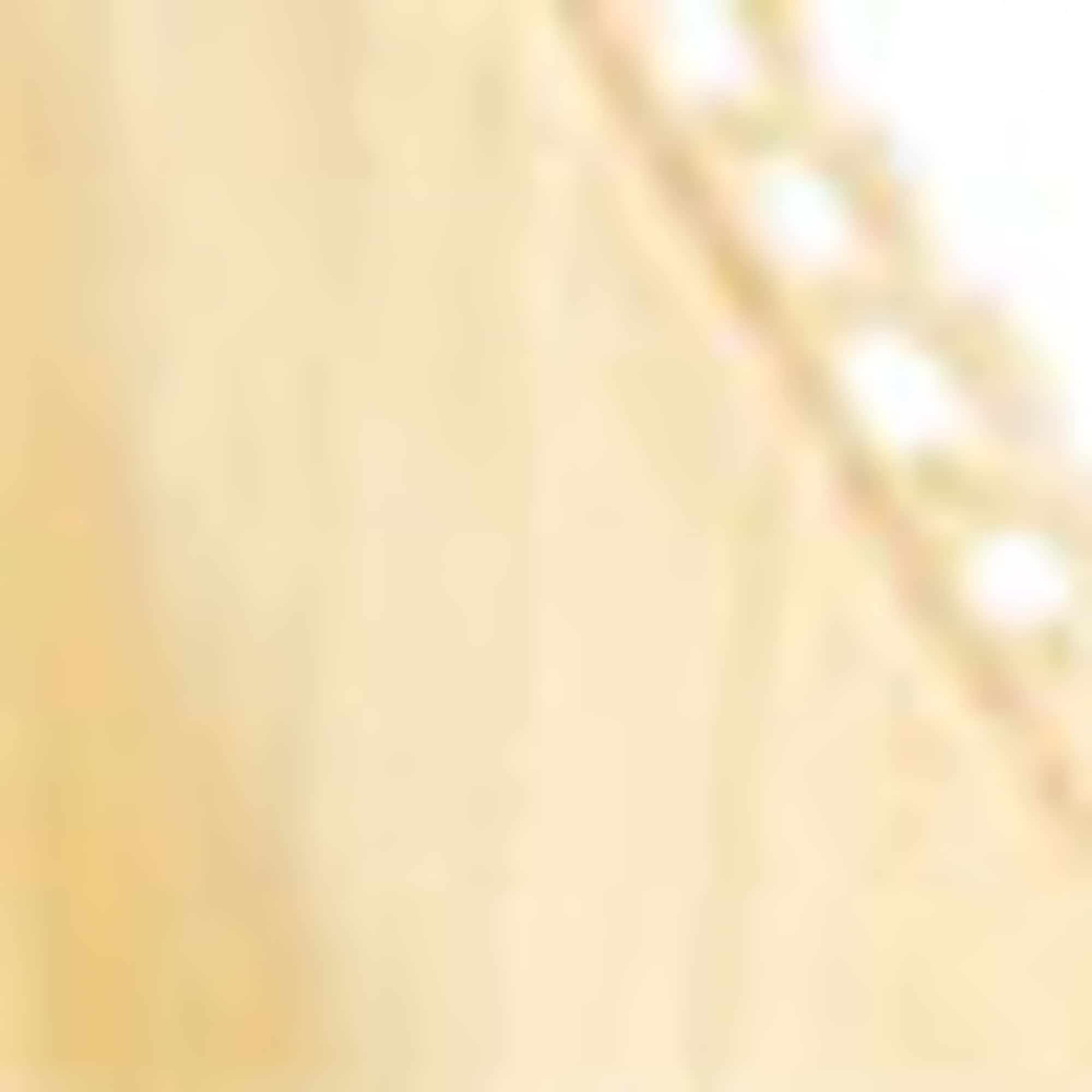 Blouse top - smocked beige