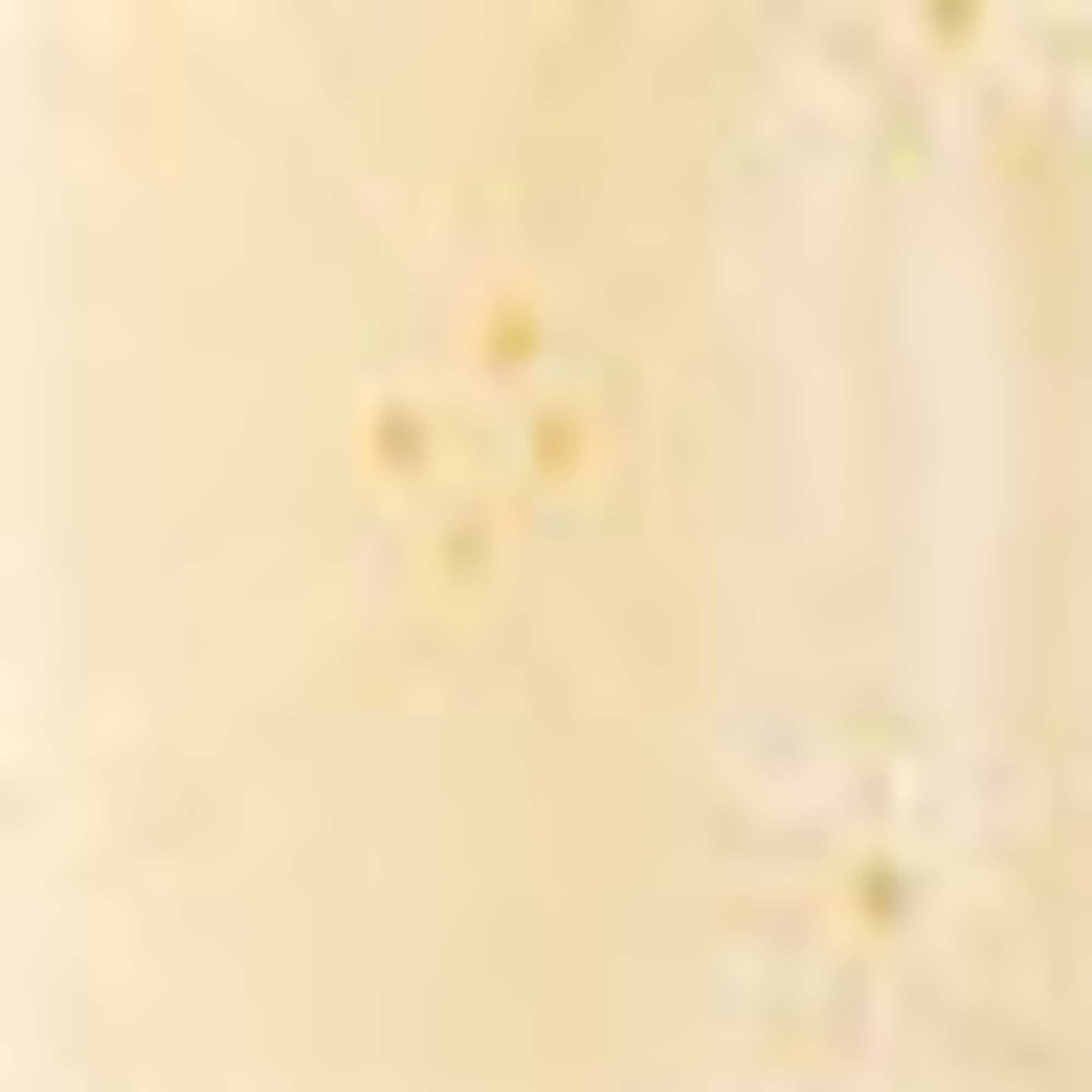 Shorts - mid-rise waist - broderie anglaise yellow