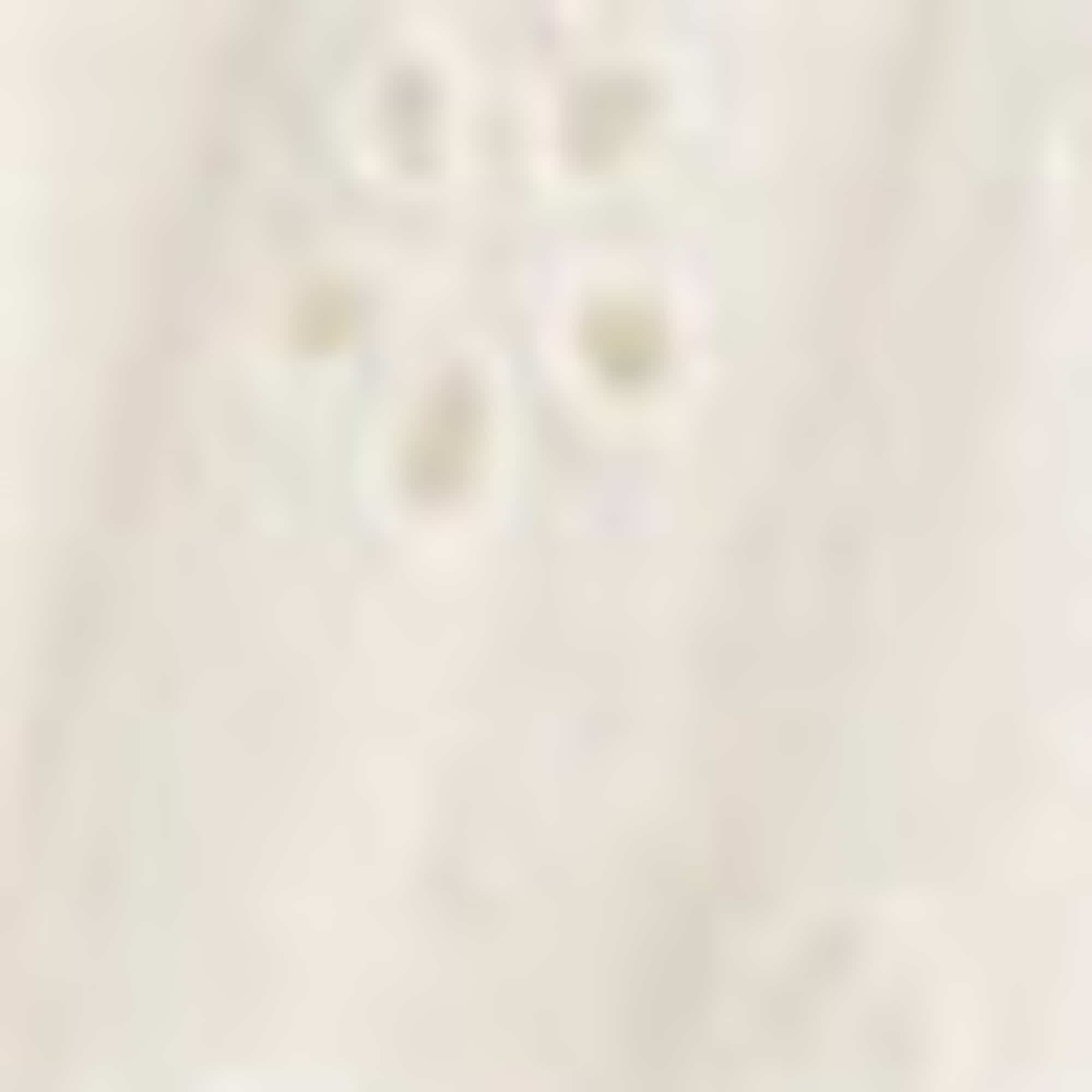 Skirt - broderie anglaise white