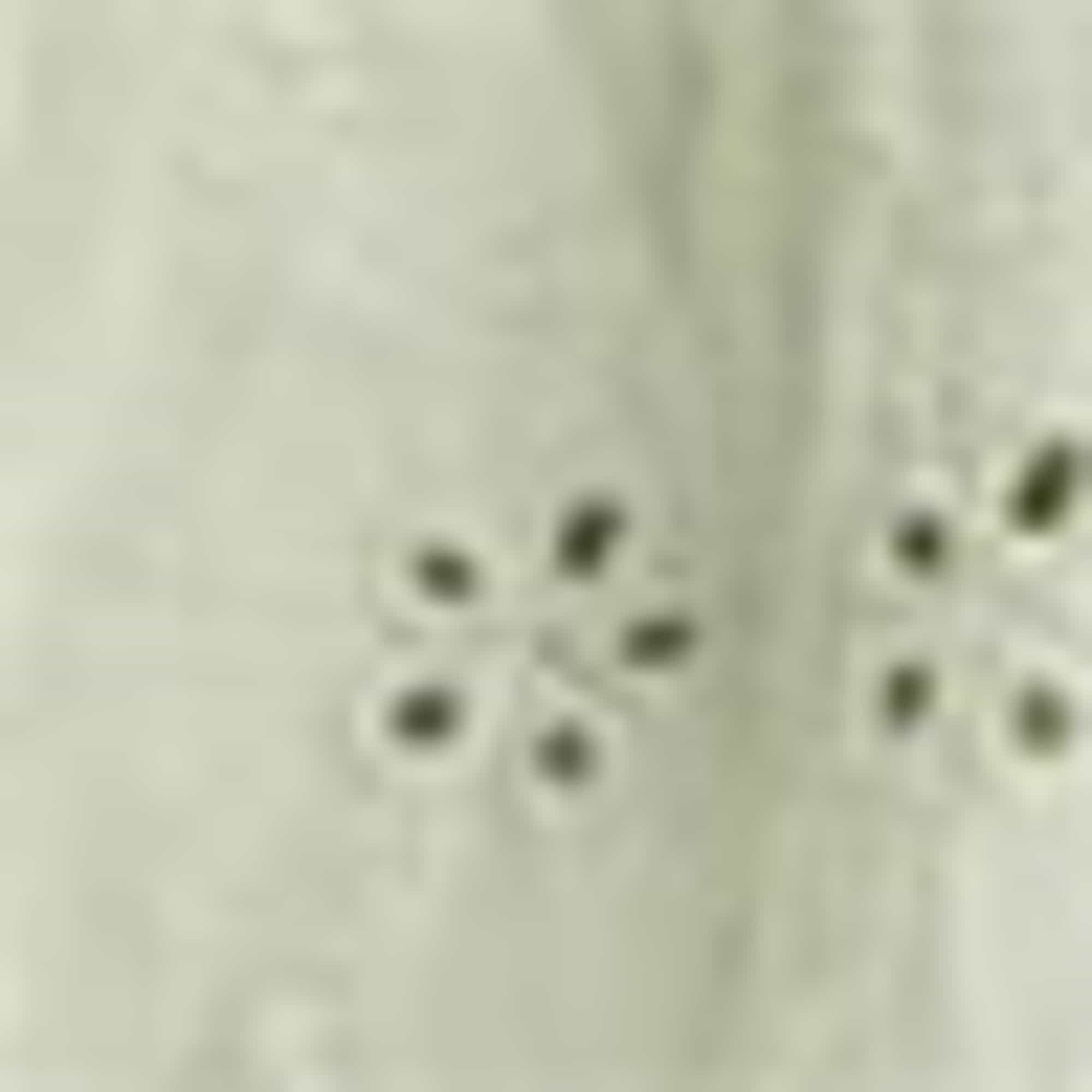 Skirt - broderie anglaise light green