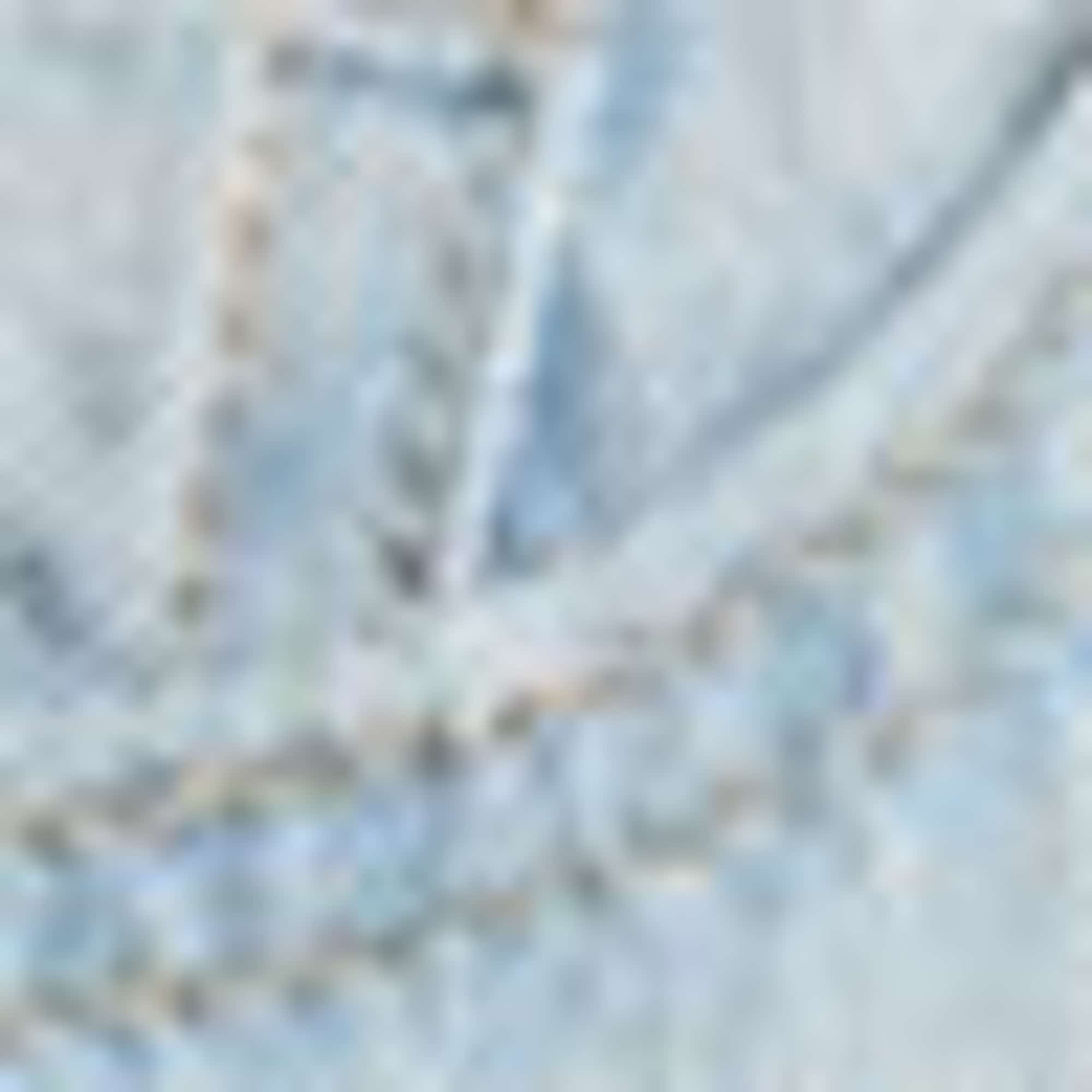 Mom shorts - mid-rise waist denim-light blue