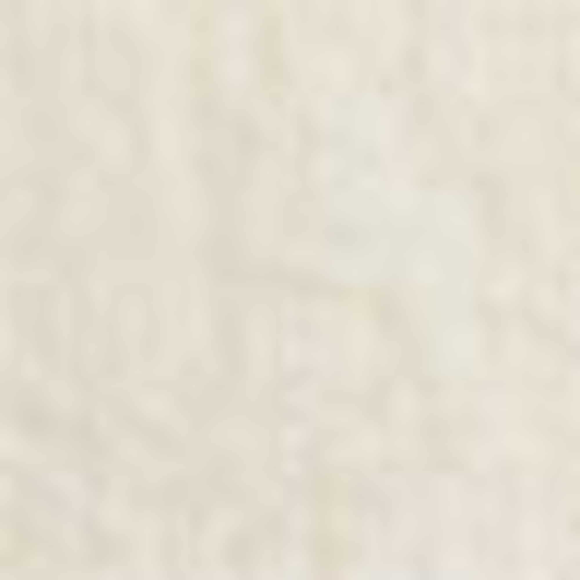 Shirt blouse - patterned creme