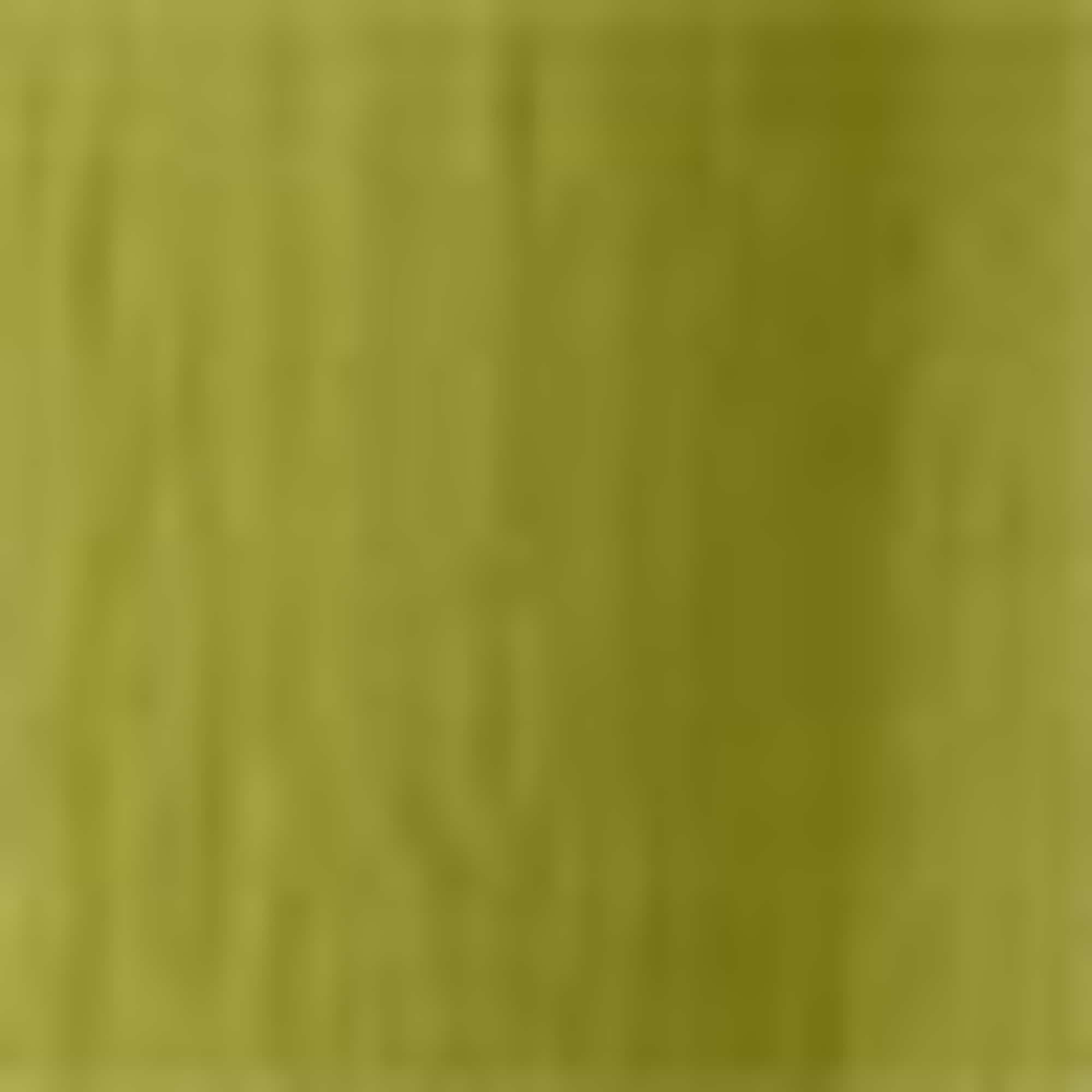 Cloth trousers - mid-rise waist - wide leg - textured light green