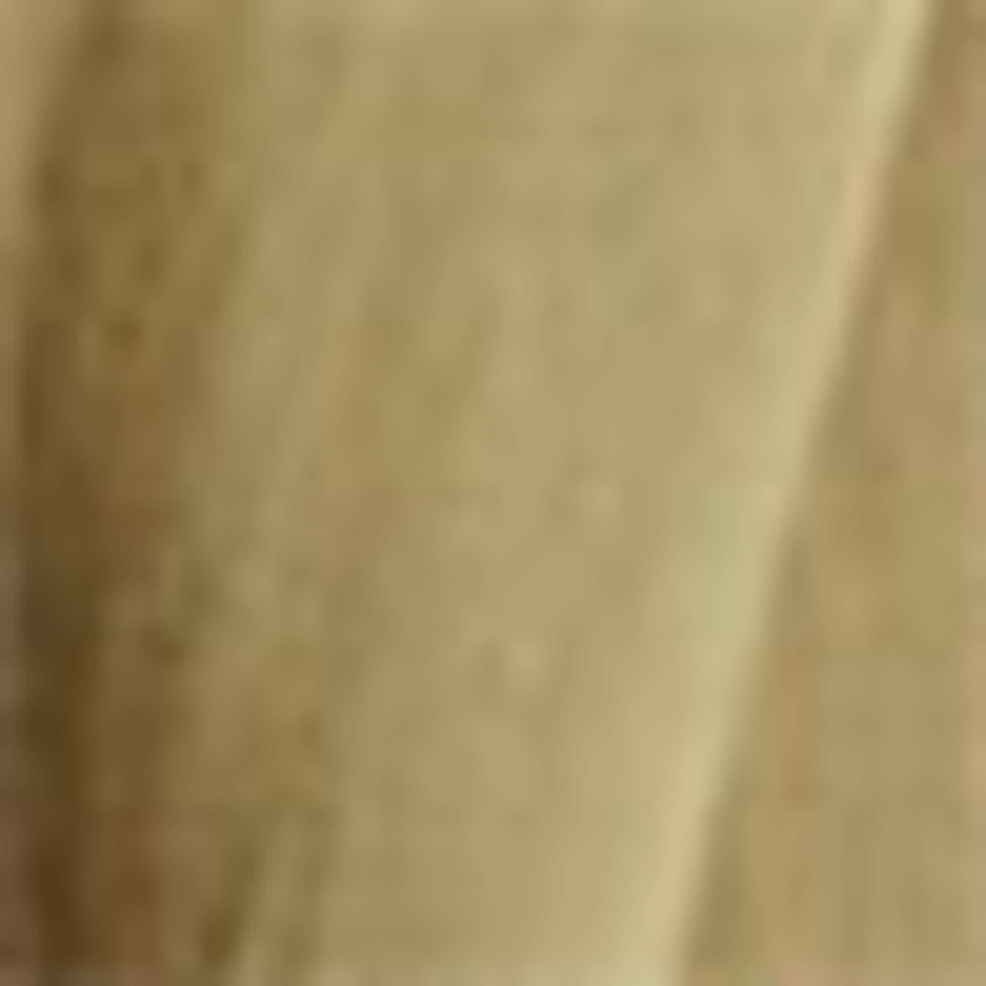 Bermuda shorts with belt - high waist khaki