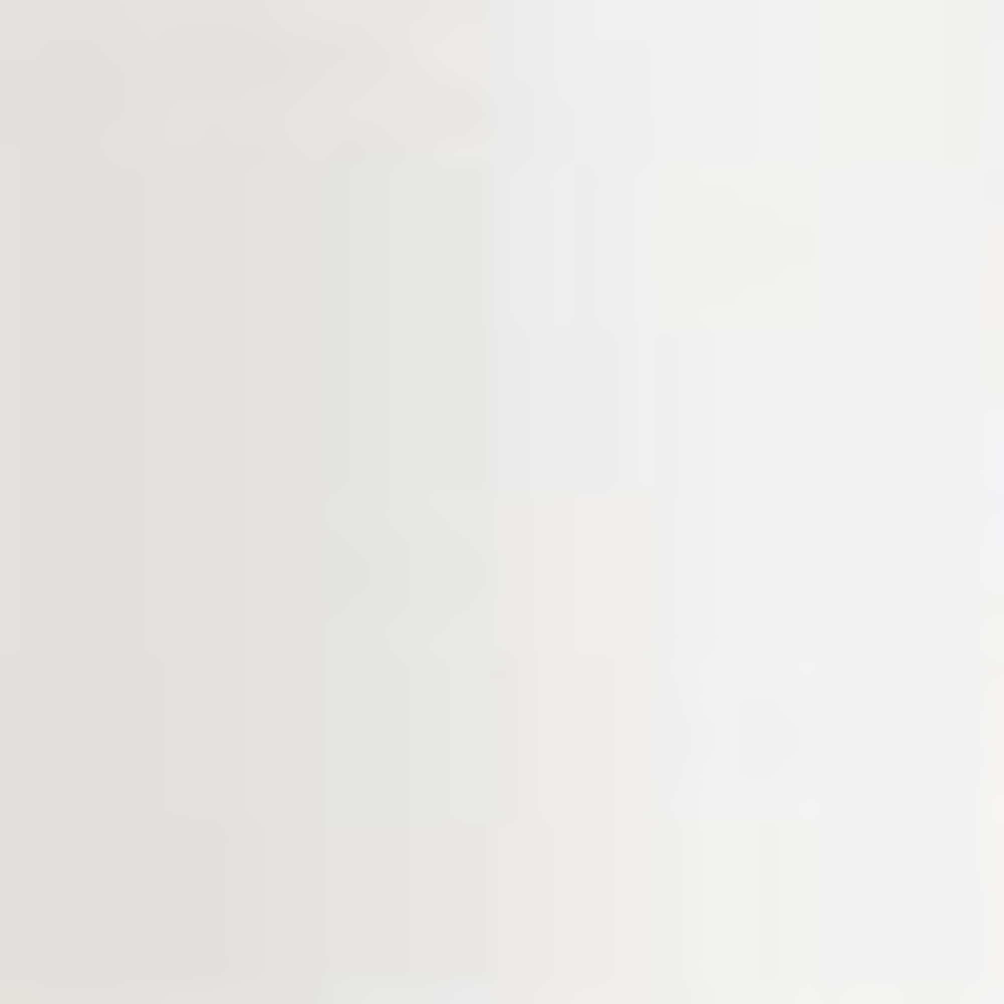 T-shirt - regular fit - broderie anglaise white
