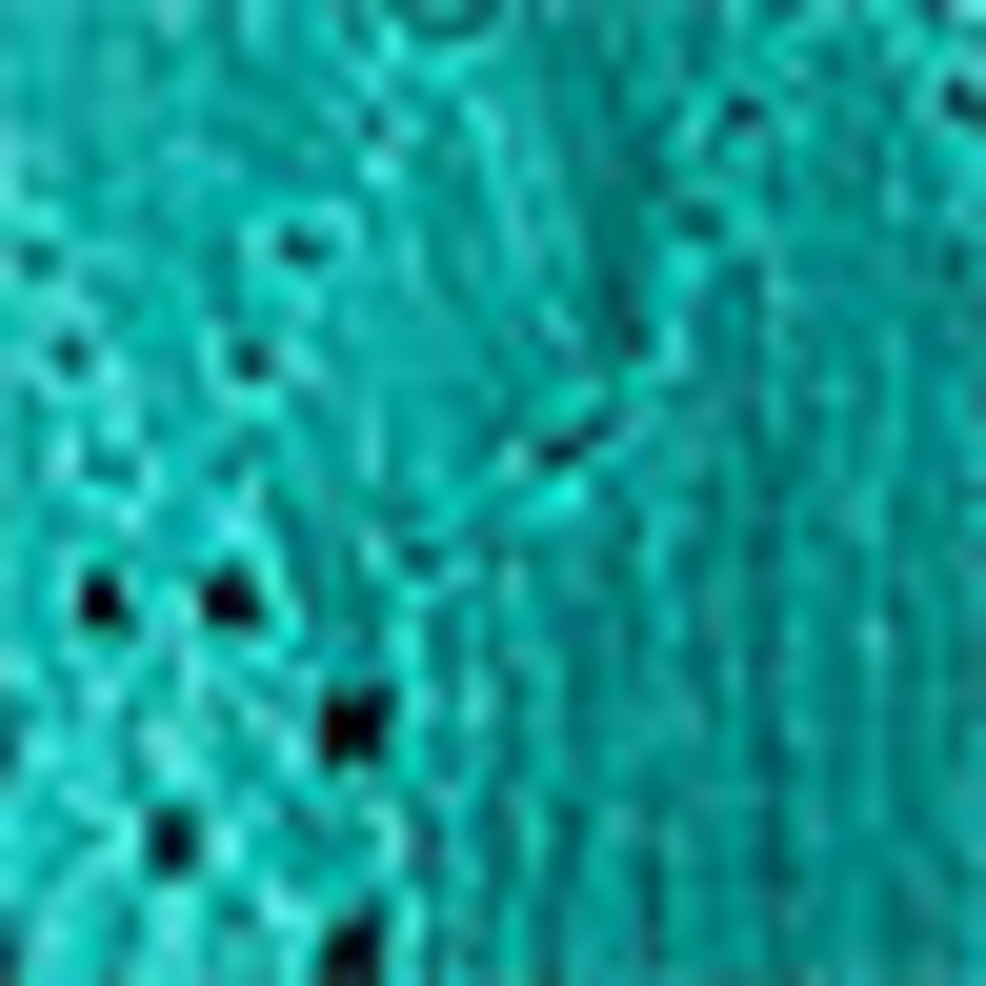 T-shirt - regular fit - broderie anglaise turquoise