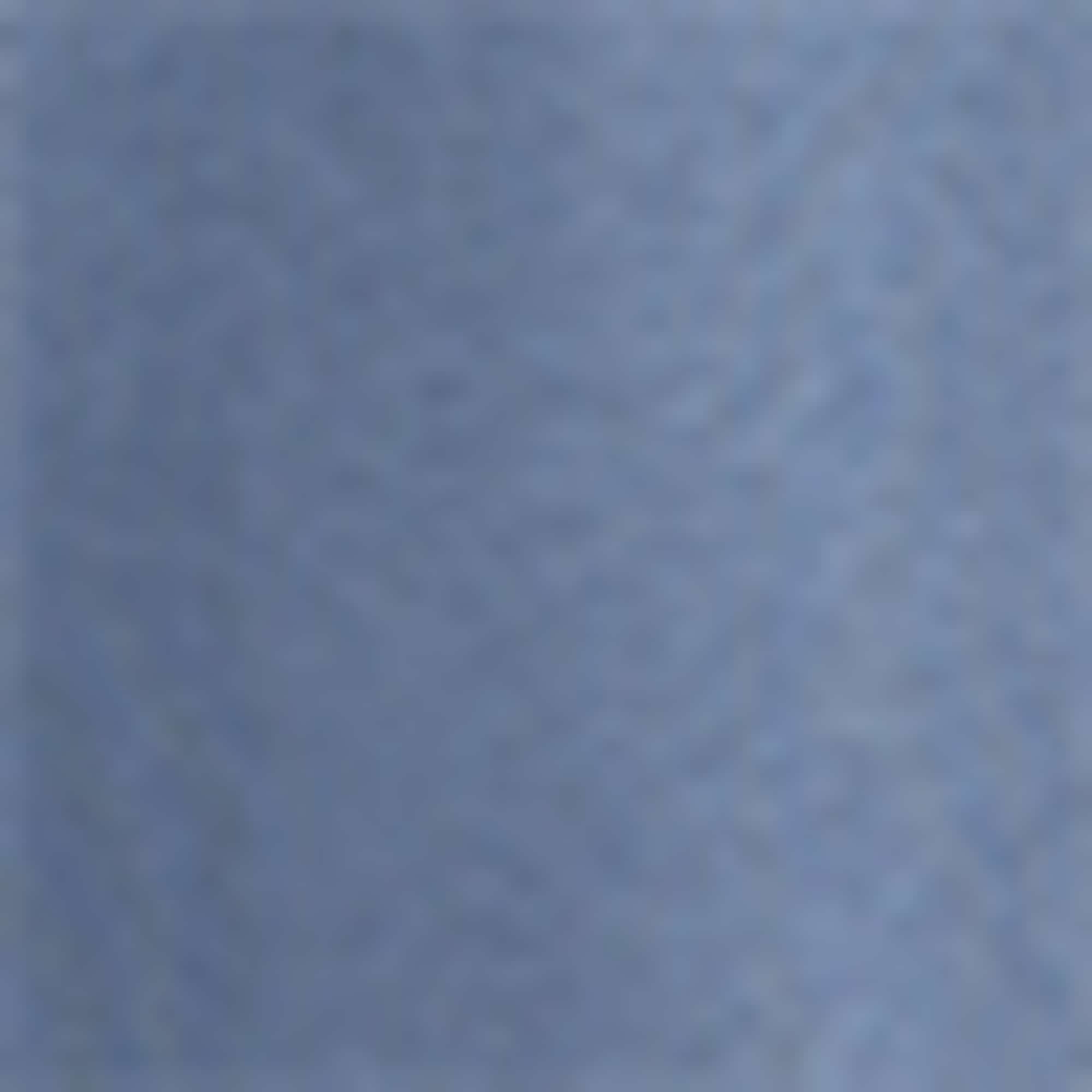 Sweatshirt blue