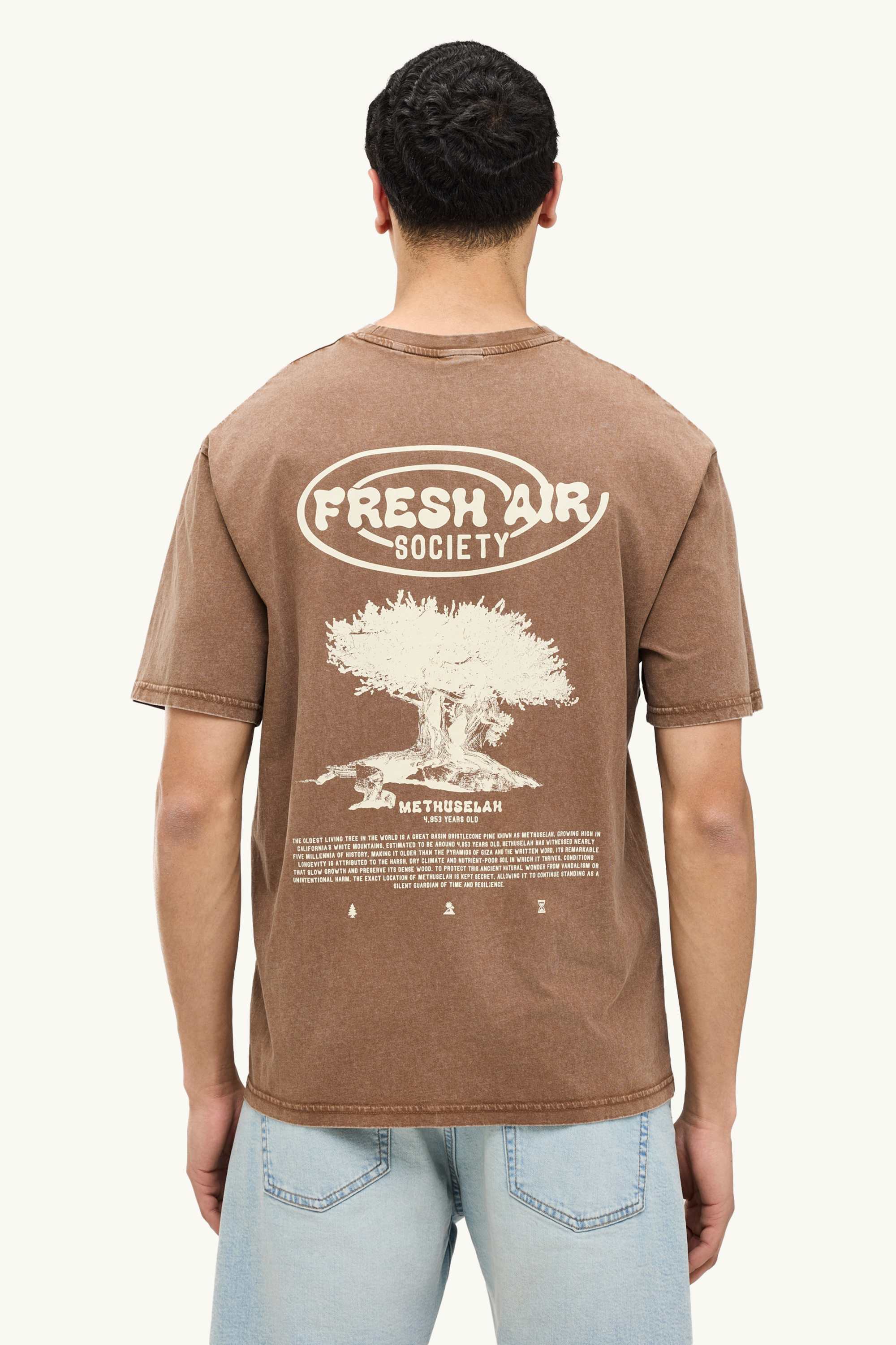 T-shirt - relaxed fit brown