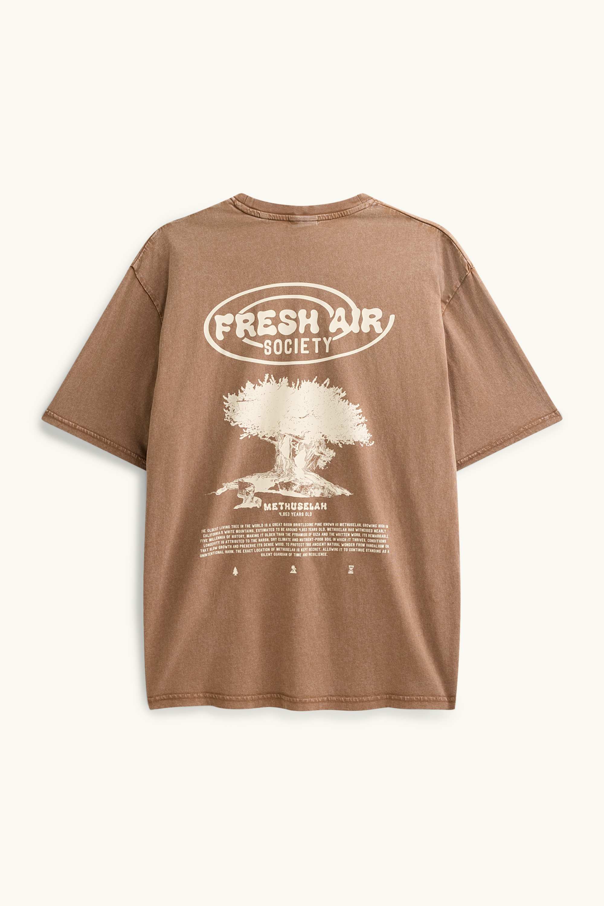 T-shirt - relaxed fit brown