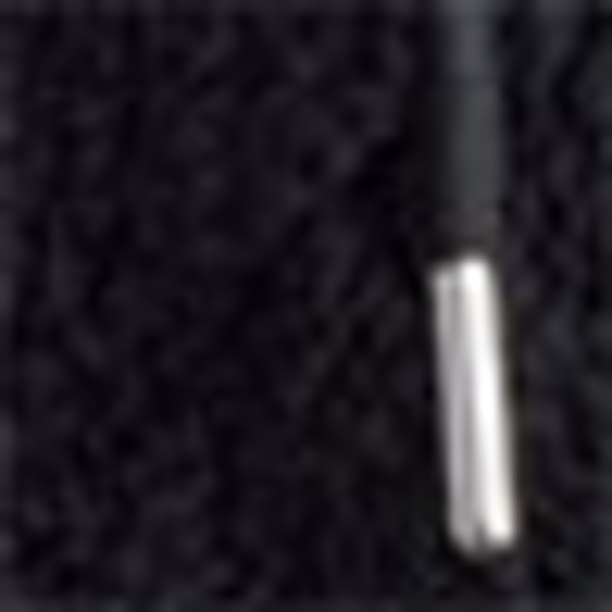 Teddy fur jacket with hood black