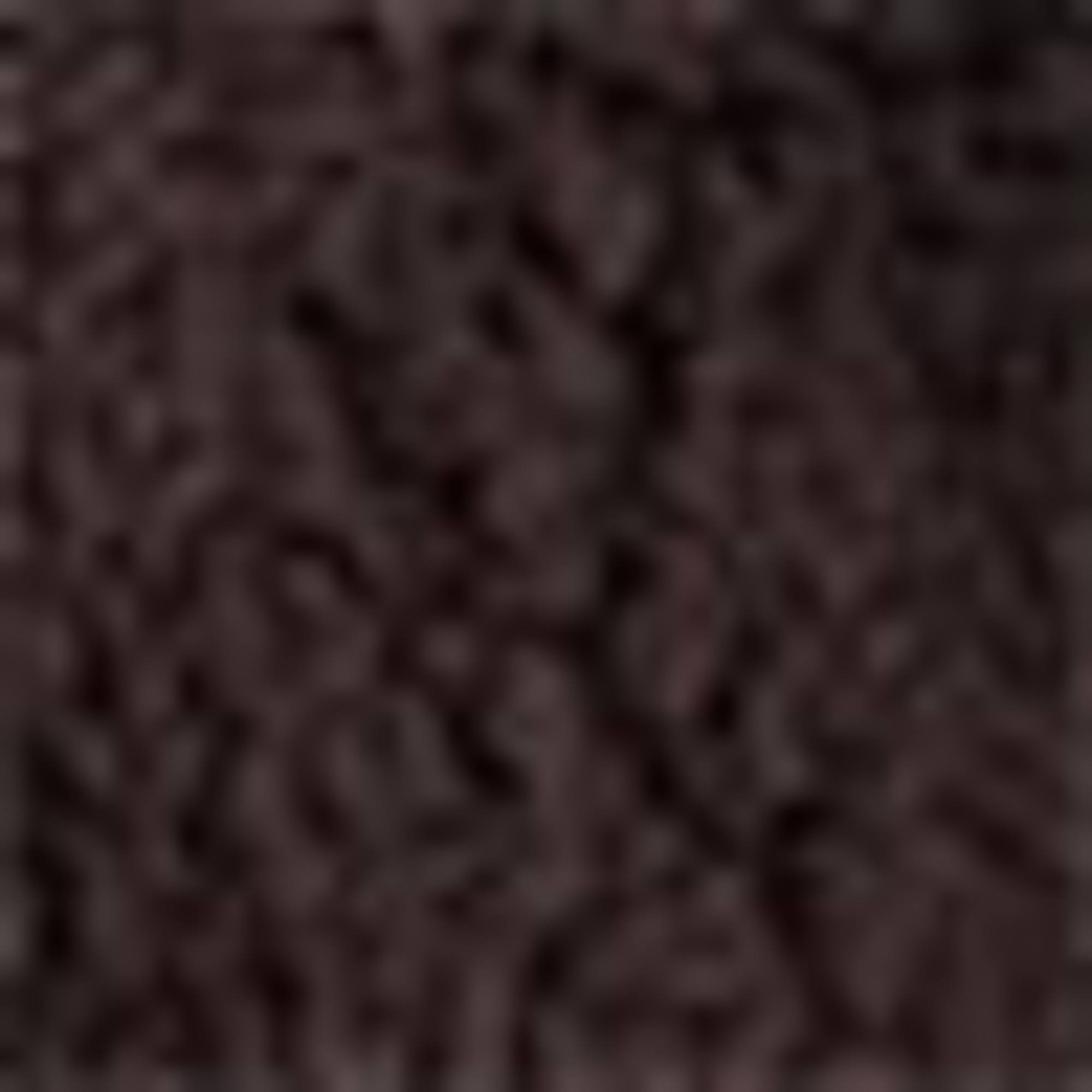 Teddy fur jacket with hood dark brown