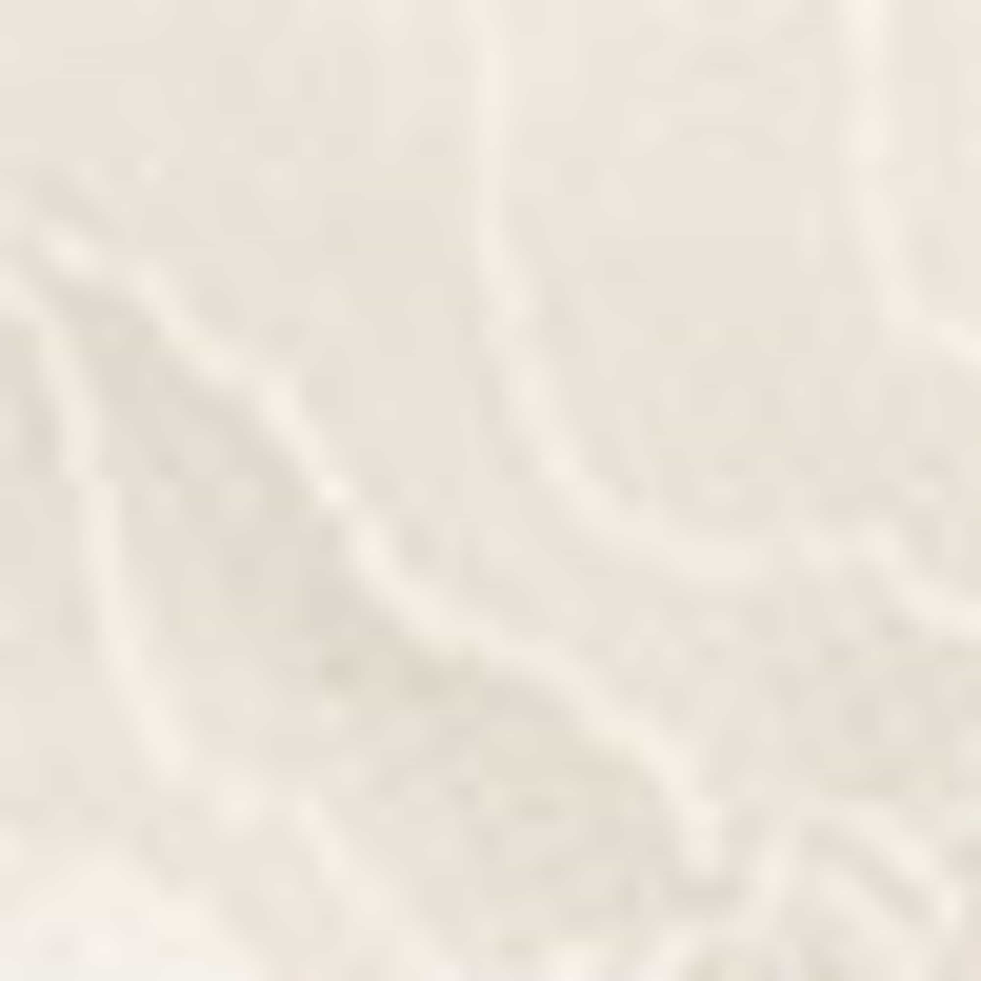 Knickers white