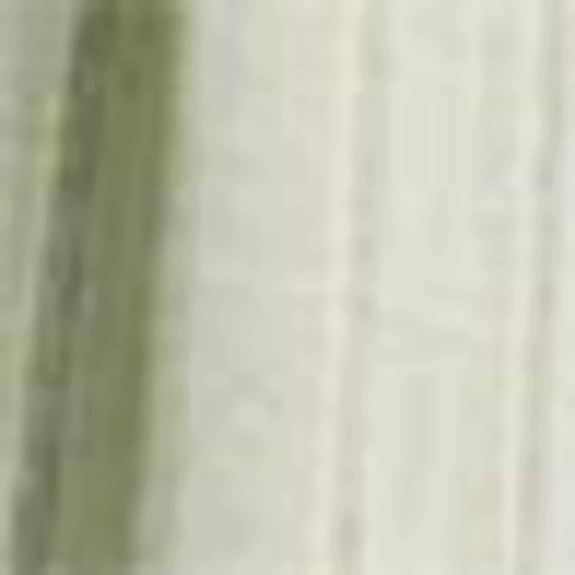 Cloth trousers with linen content - mid-rise waist - wide leg light green