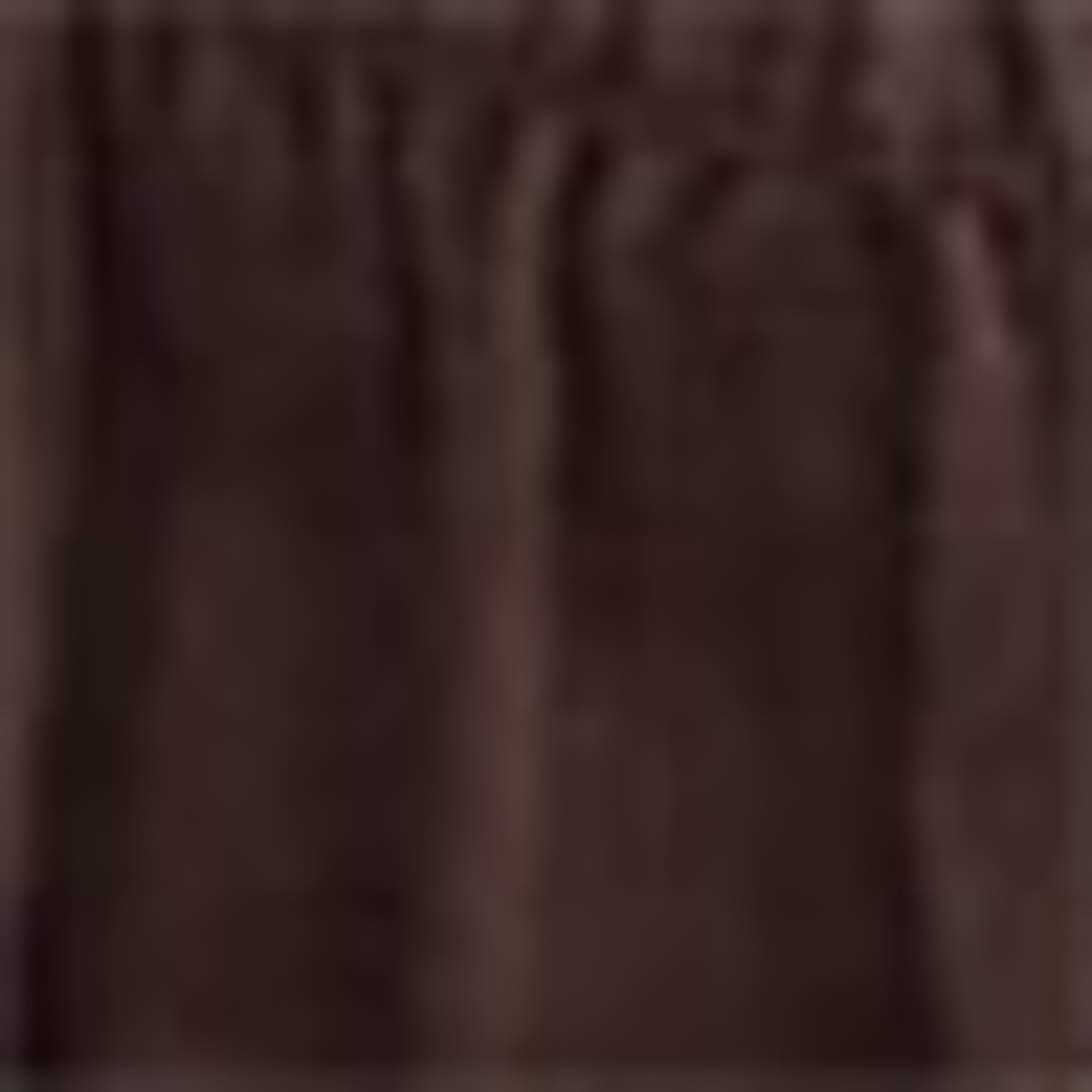 Shorts - mid-rise waist - smocked brown