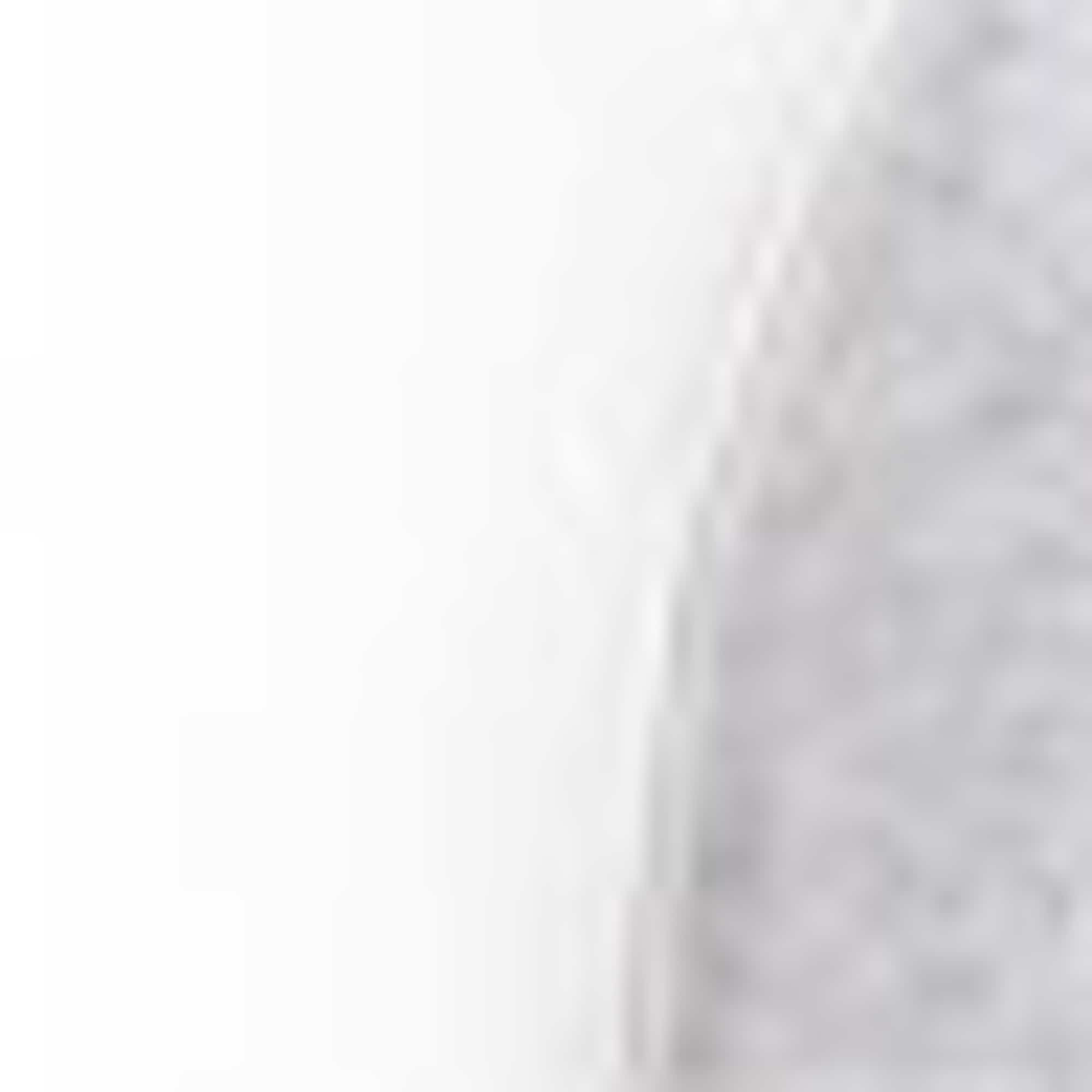 Multipack of 5 - socks white / gray