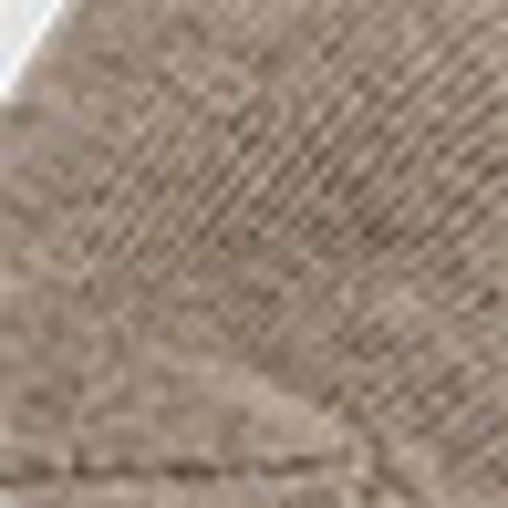 Multipack of 5 - trainer socks rose