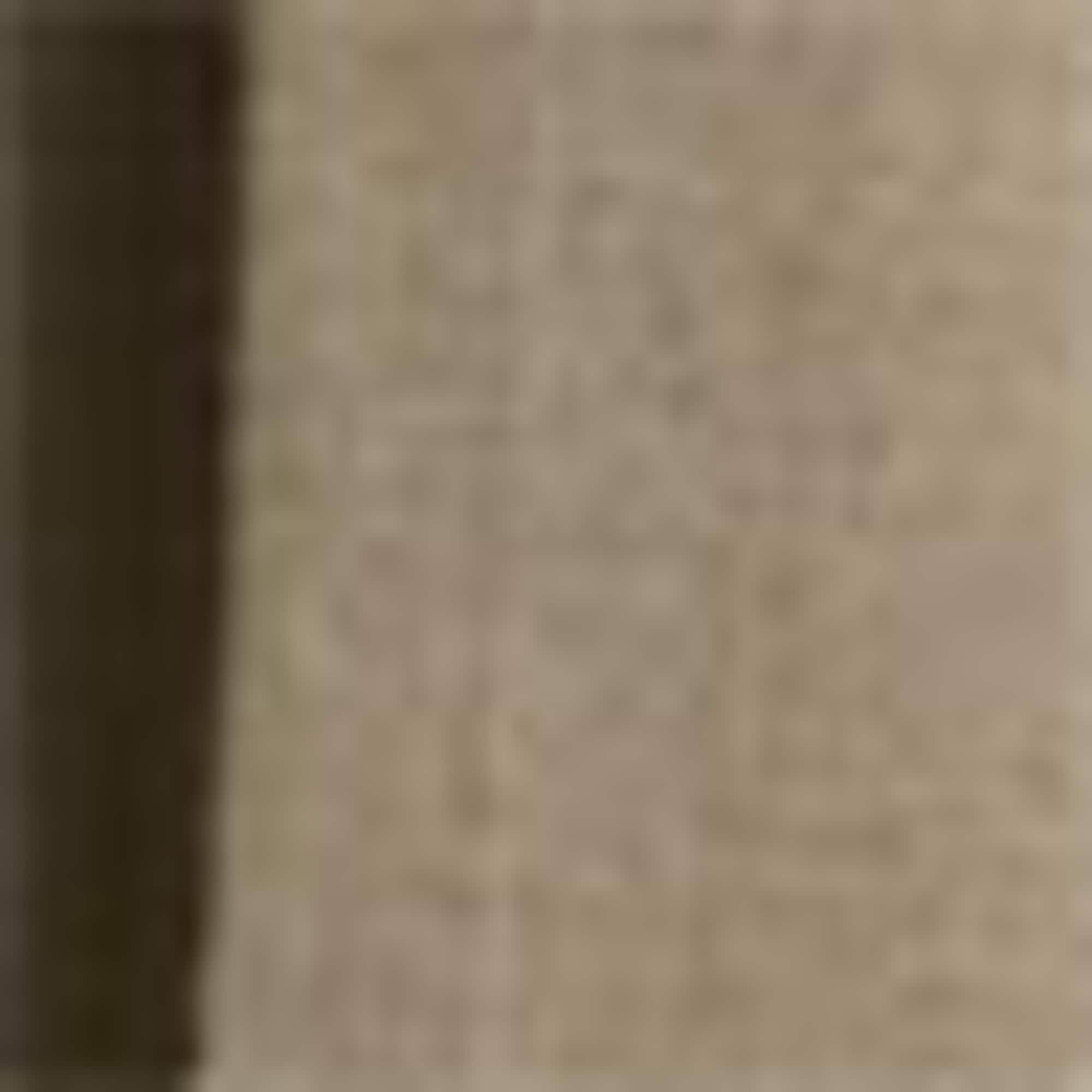 Cloth trousers - mid-rise waist - wide leg khaki