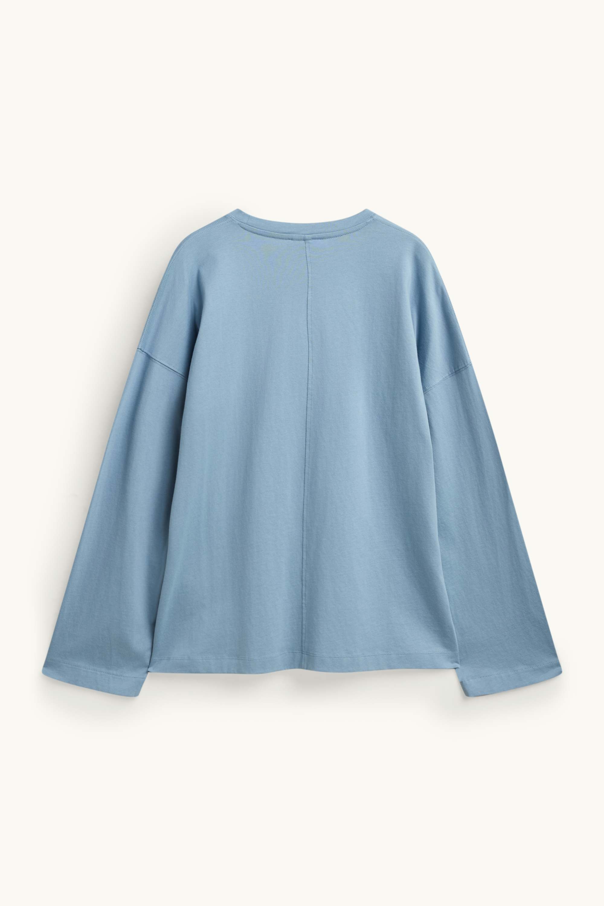 Long sleeve top - relaxed fit light blue