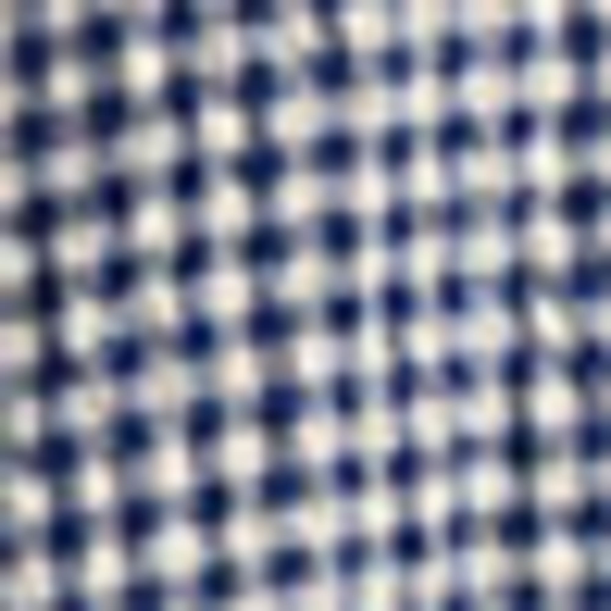 Shirt blouse - check blue / white