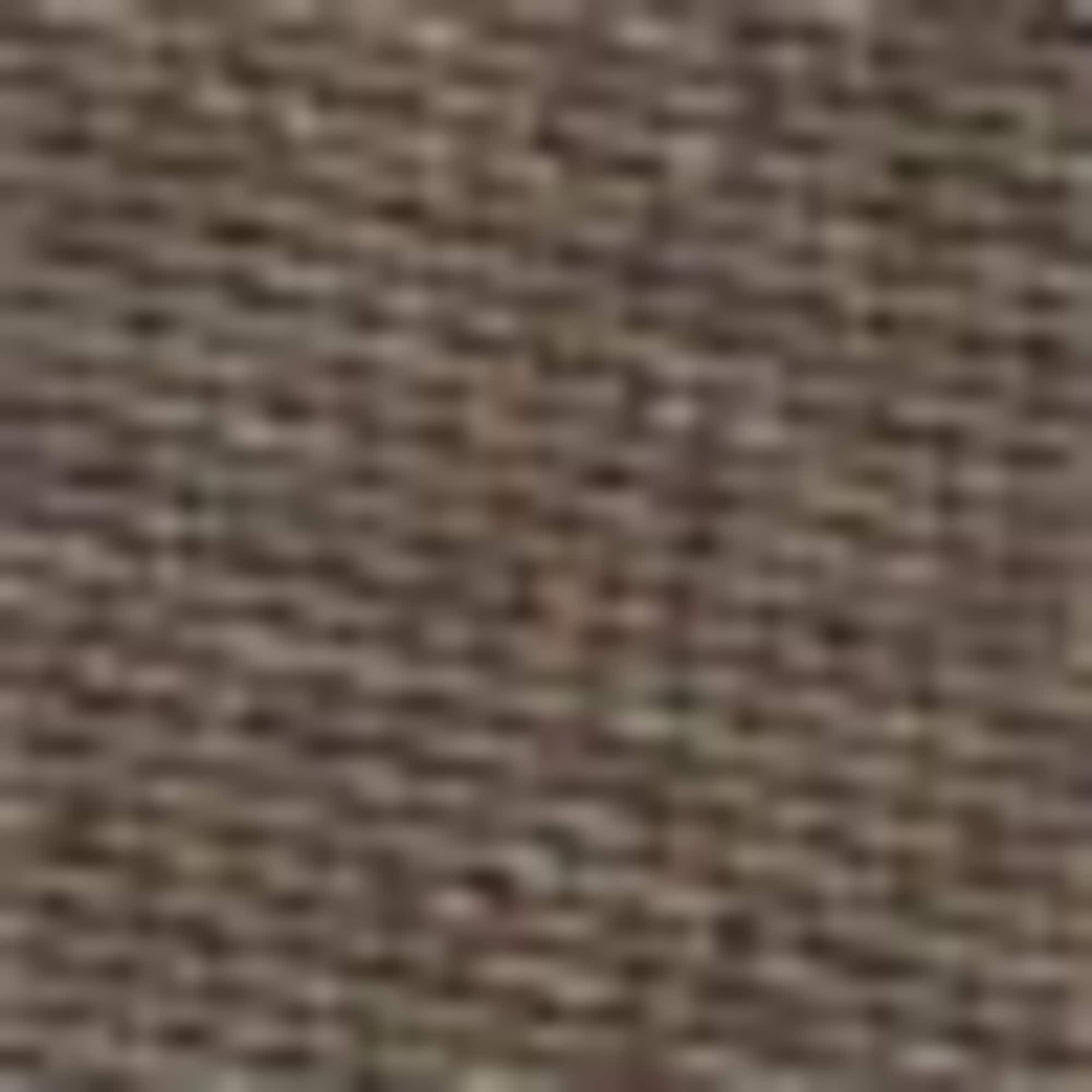 Business Bermuda shorts - high waist brown