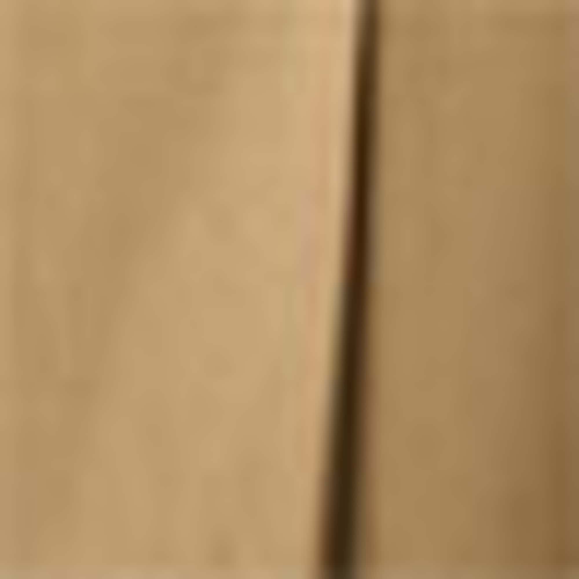 Dress with belt - straight fit beige