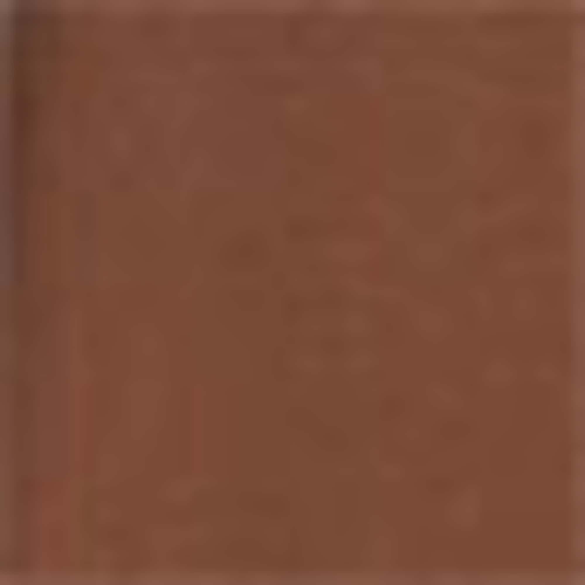 Fit & flare dress - viscose blend brown