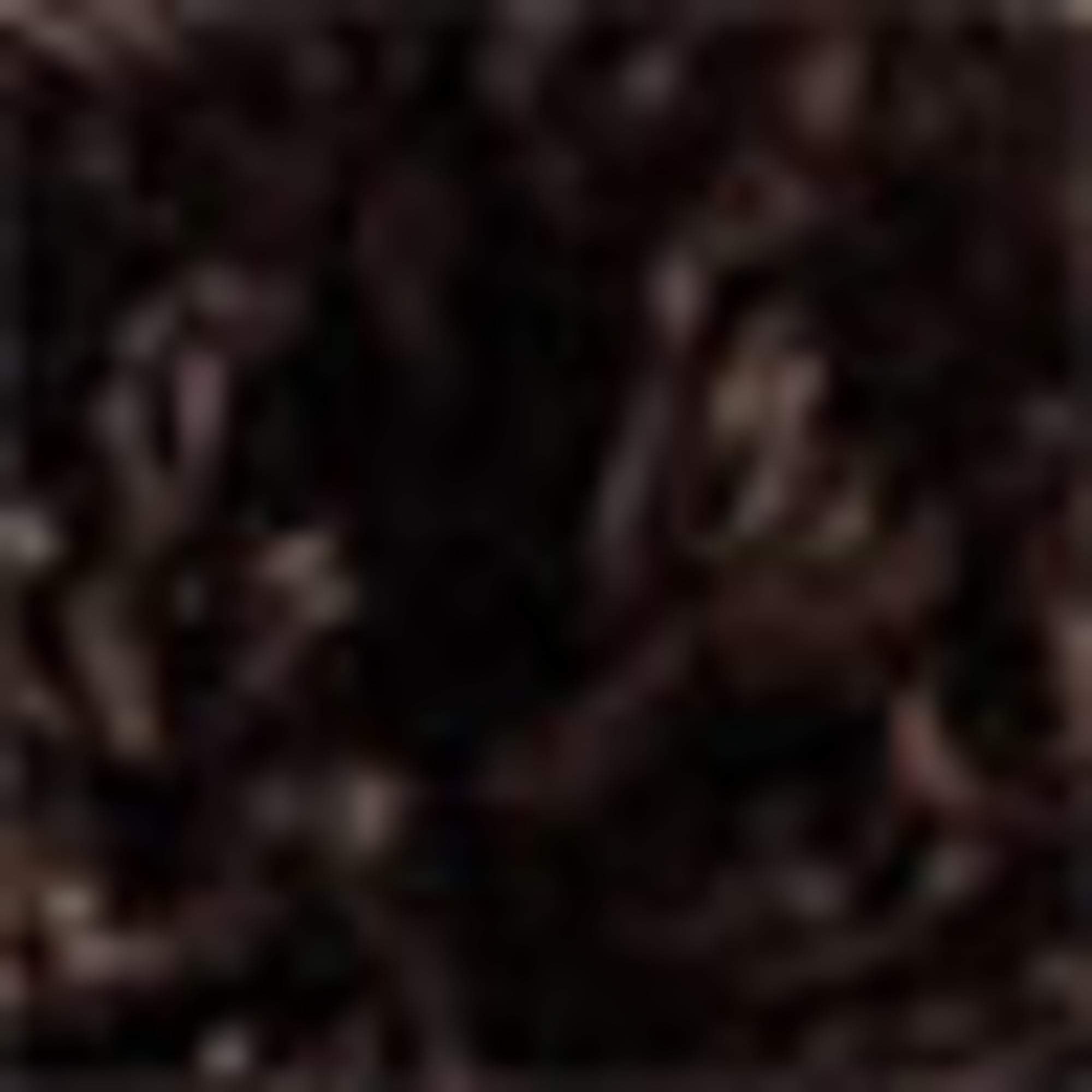 Teddy fur jacket dark brown