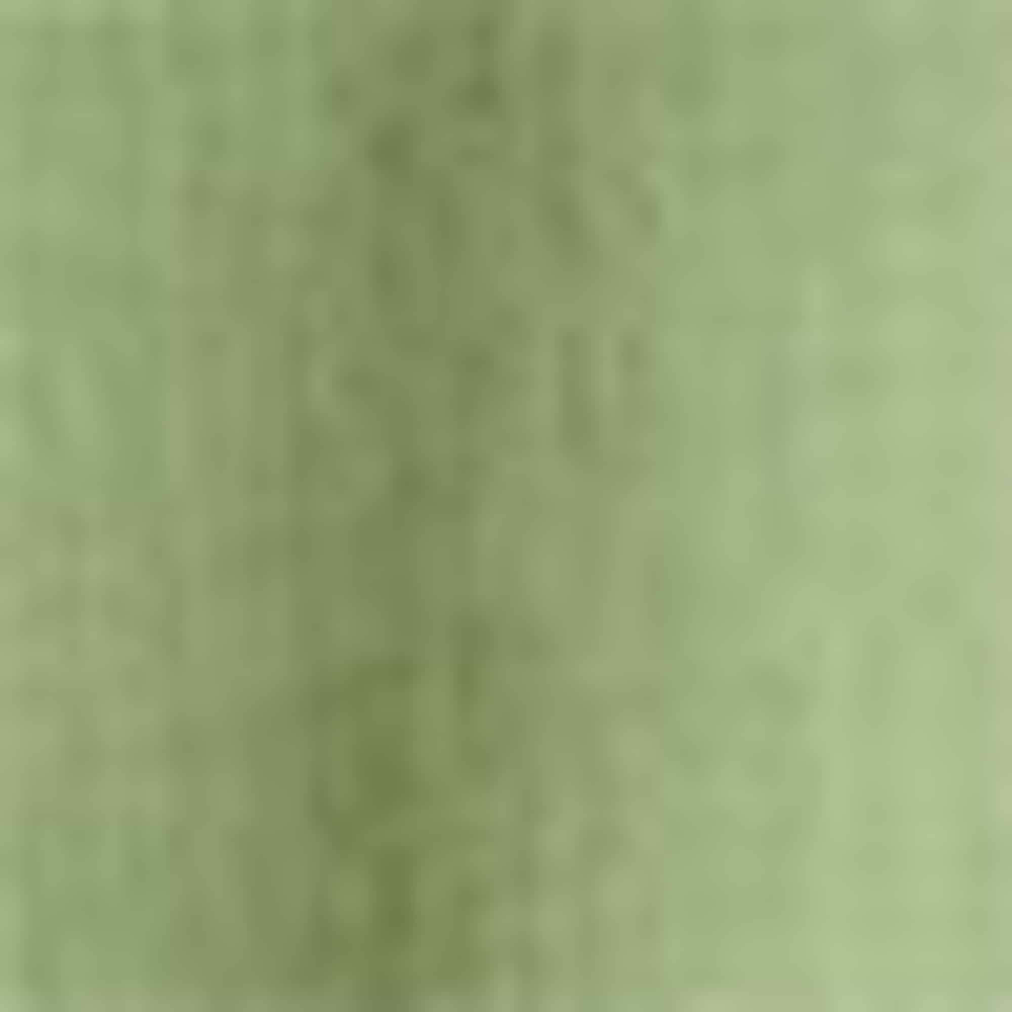 Blouse green