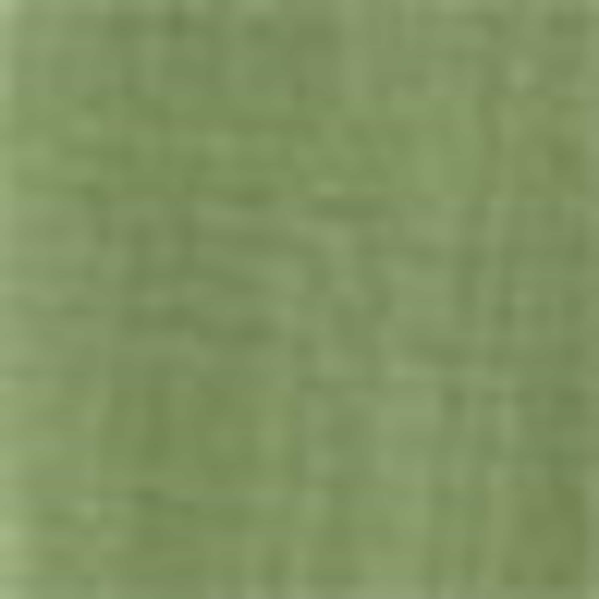 Cloth trousers - mid-rise waist - wide leg green