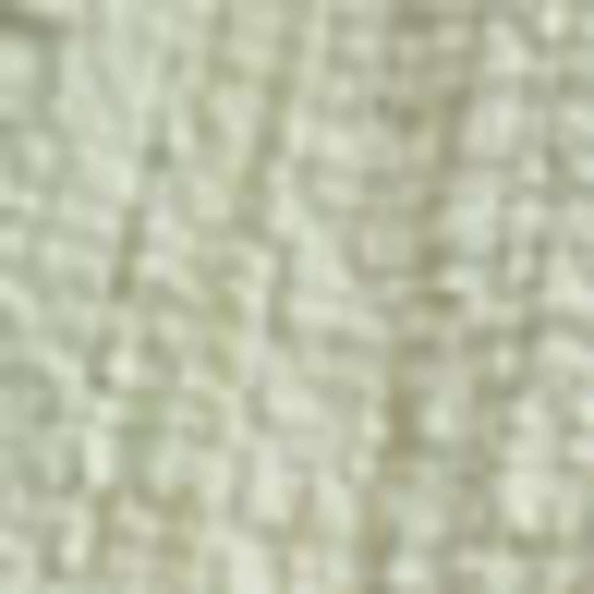 Skirt light green